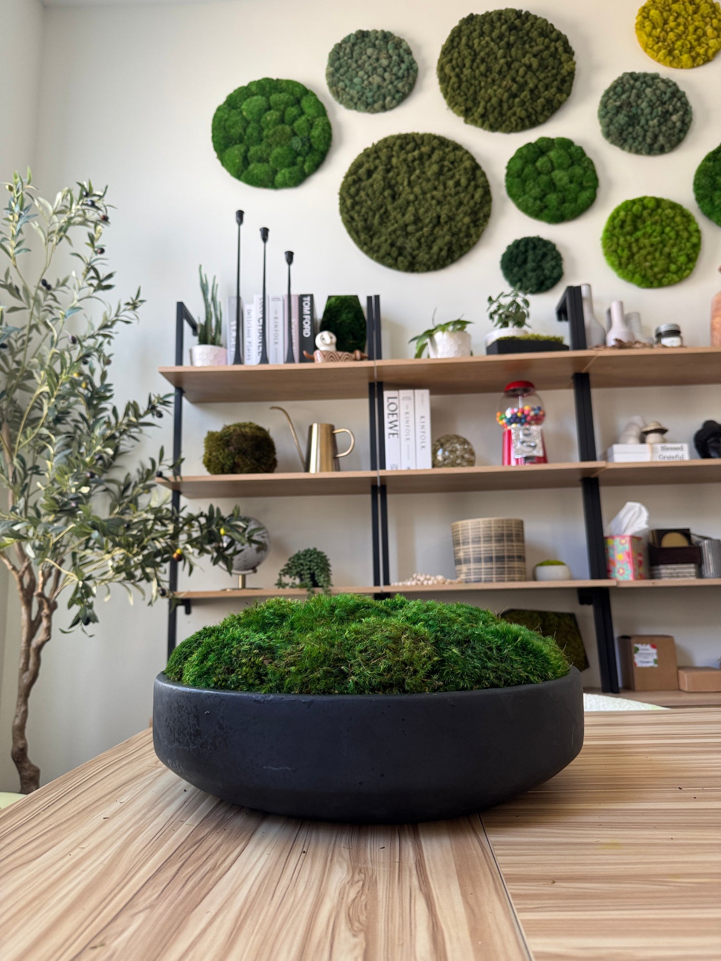The Classic Concrete Moss Bowl