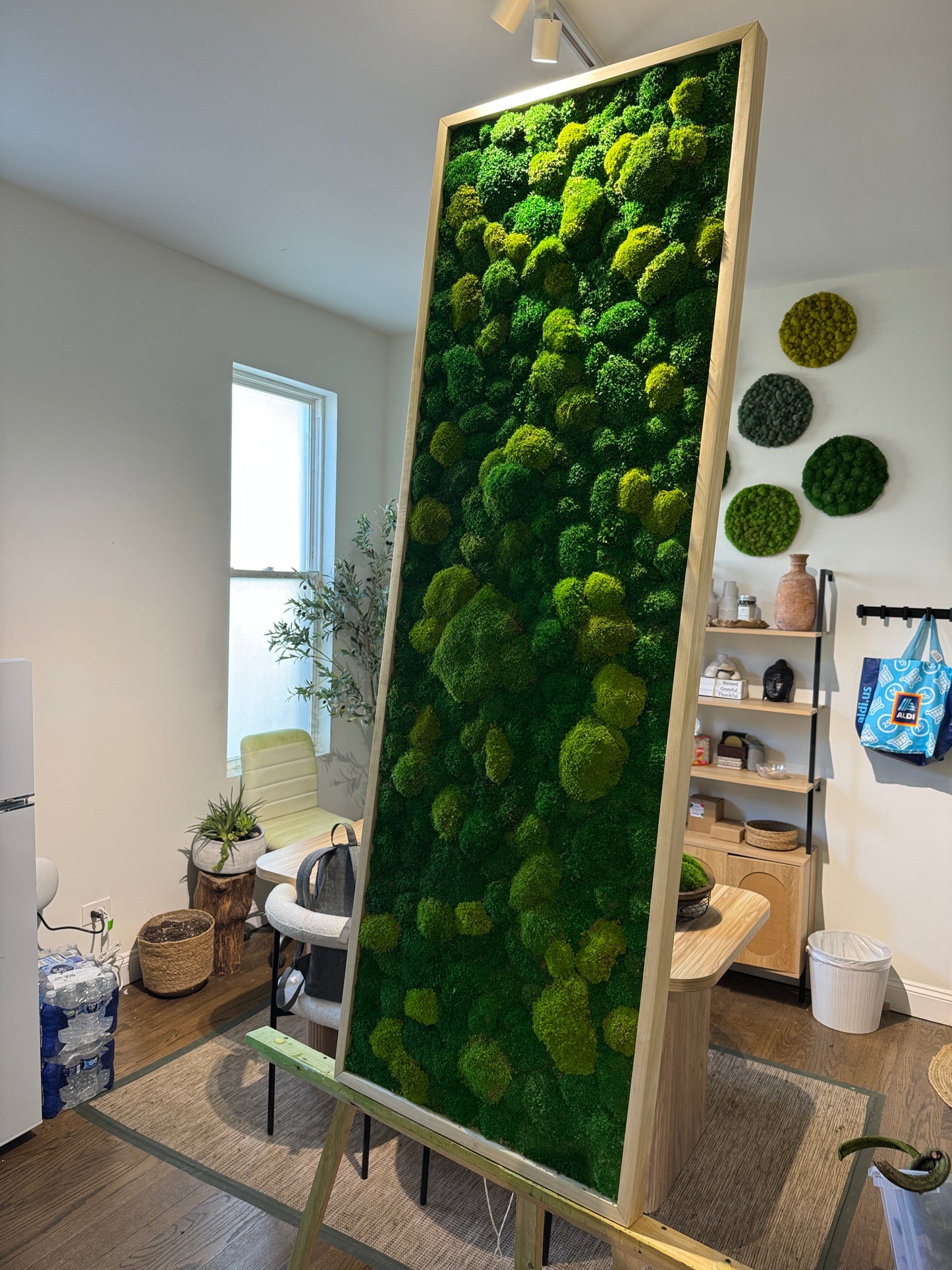 Lighting-Enhanced Moss Art Frame