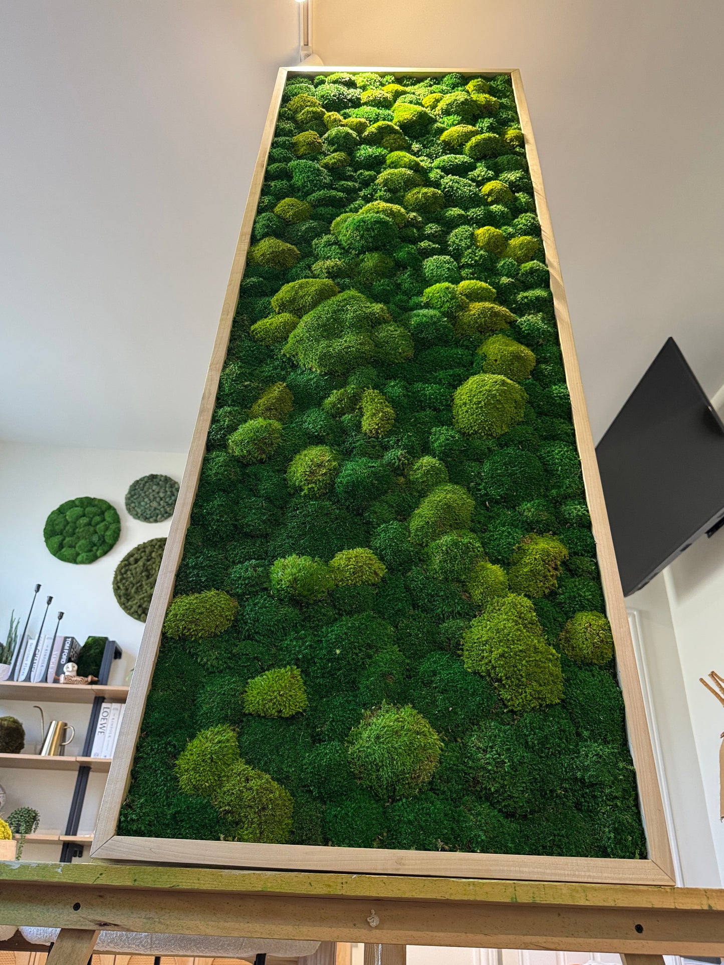Lighting-Enhanced Moss Art Frame