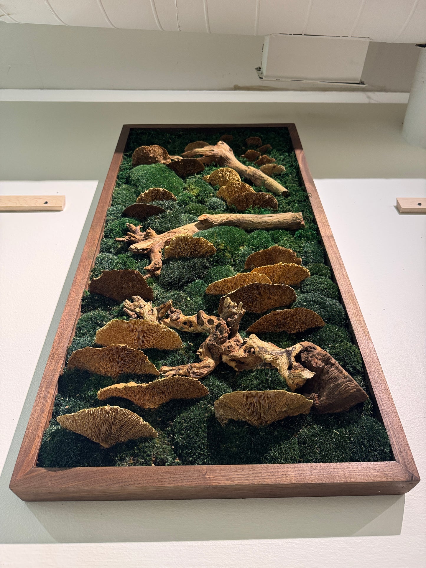 36x18" Foraged Mushroom Woodlands Moss Art Frame: Ready to Ship