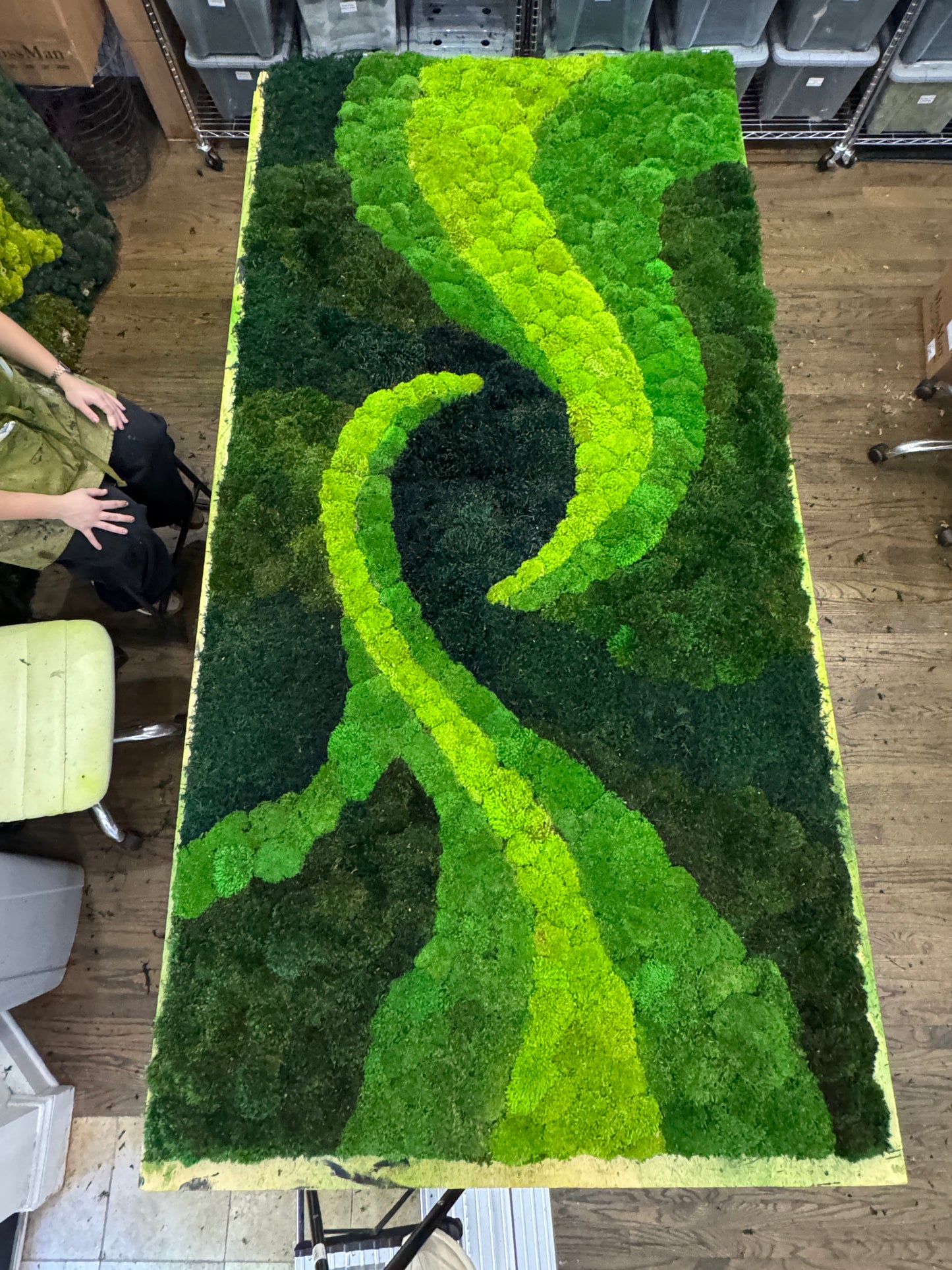 Nature's Spiral Moss Art Frame (One Piece)