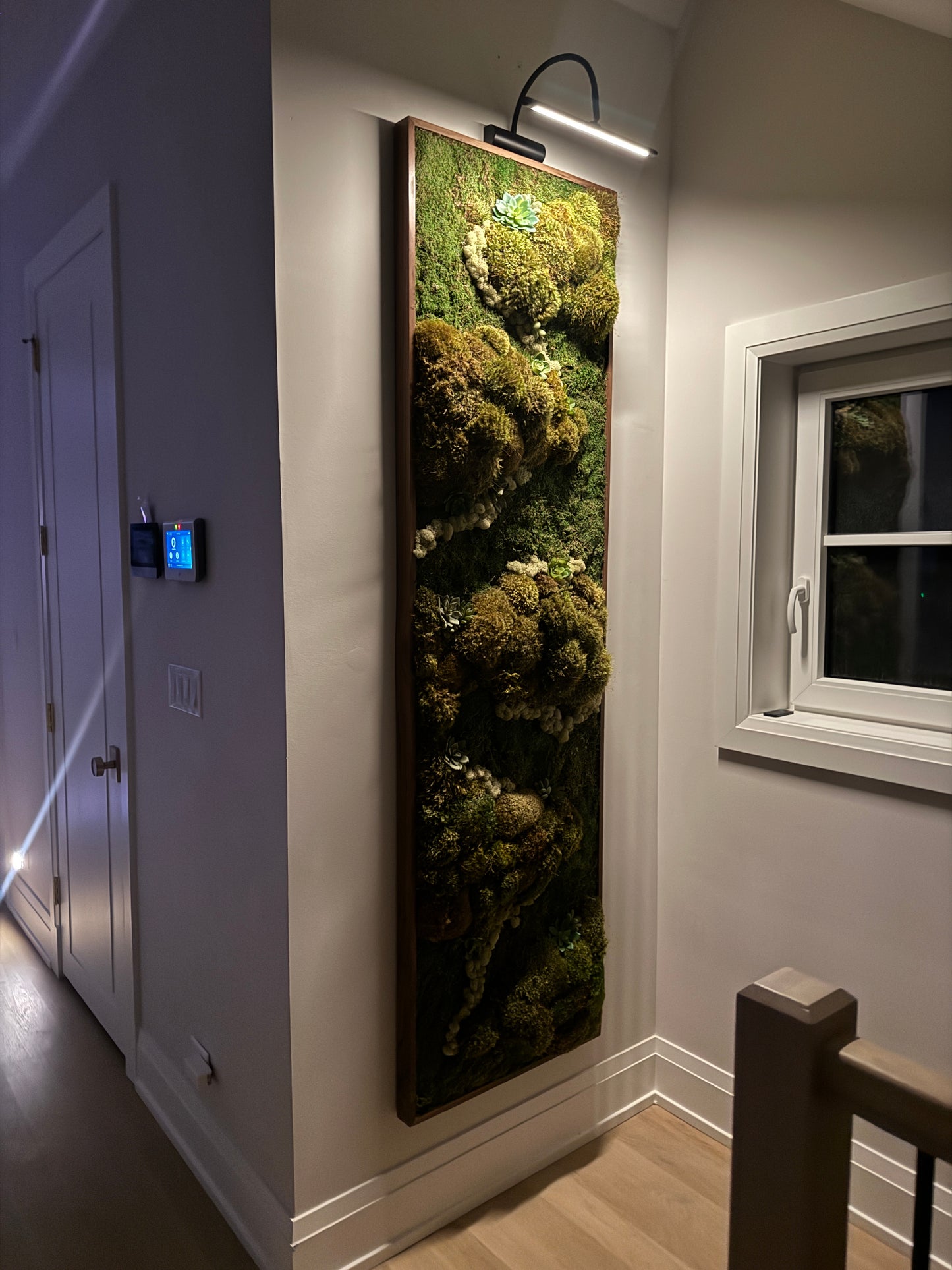 Corona Del Mar Succulent Accent Moss Art Frame (Once Piece)