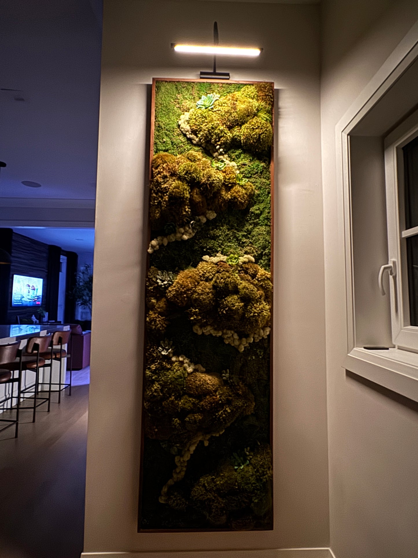 Corona Del Mar Succulent Accent Moss Art Frame (Once Piece)