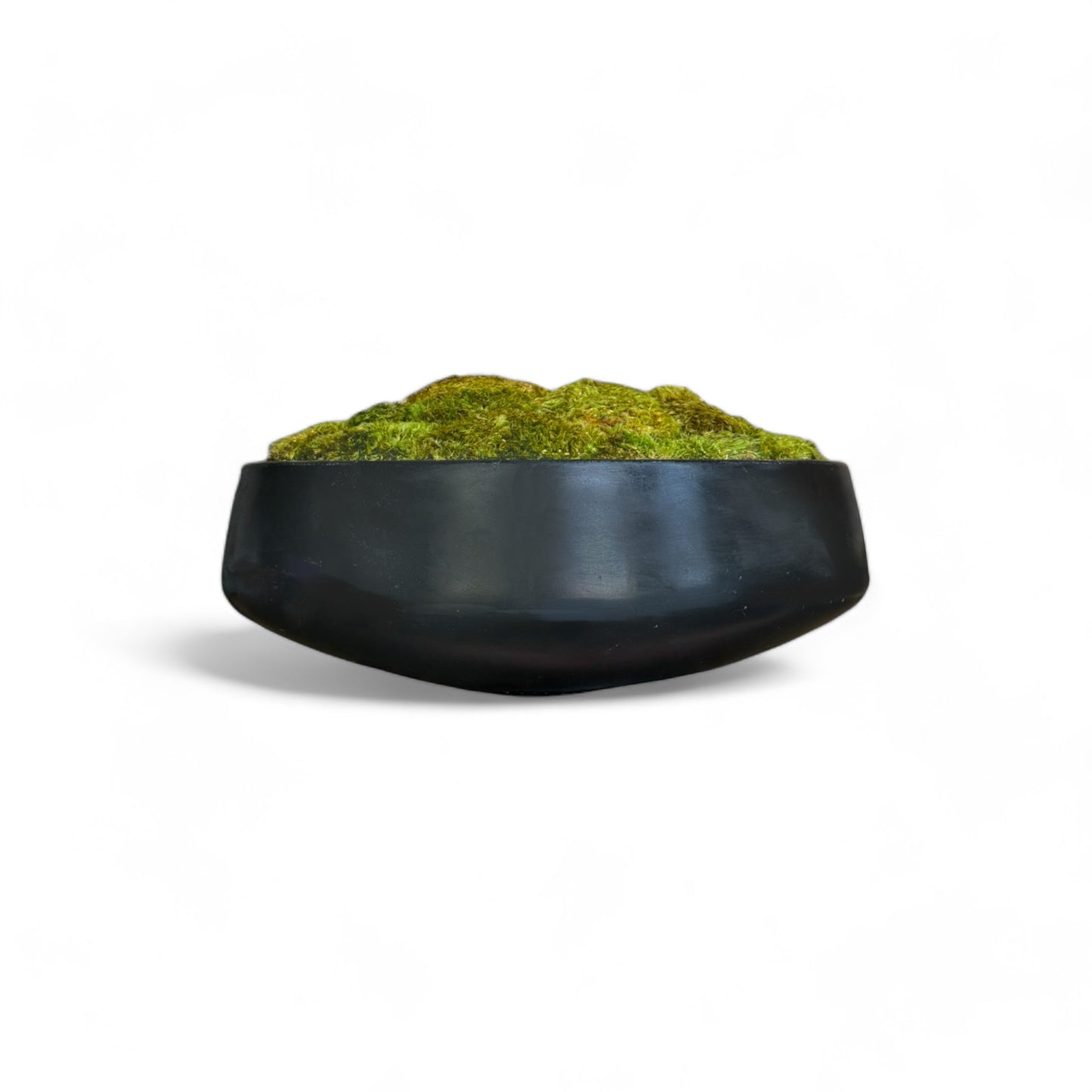 Black Concrete Moss Bowl 13", 17", or 22"