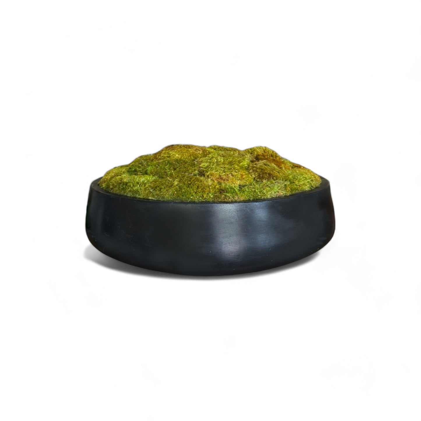 Black Concrete Moss Bowl 13", 17", or 22"