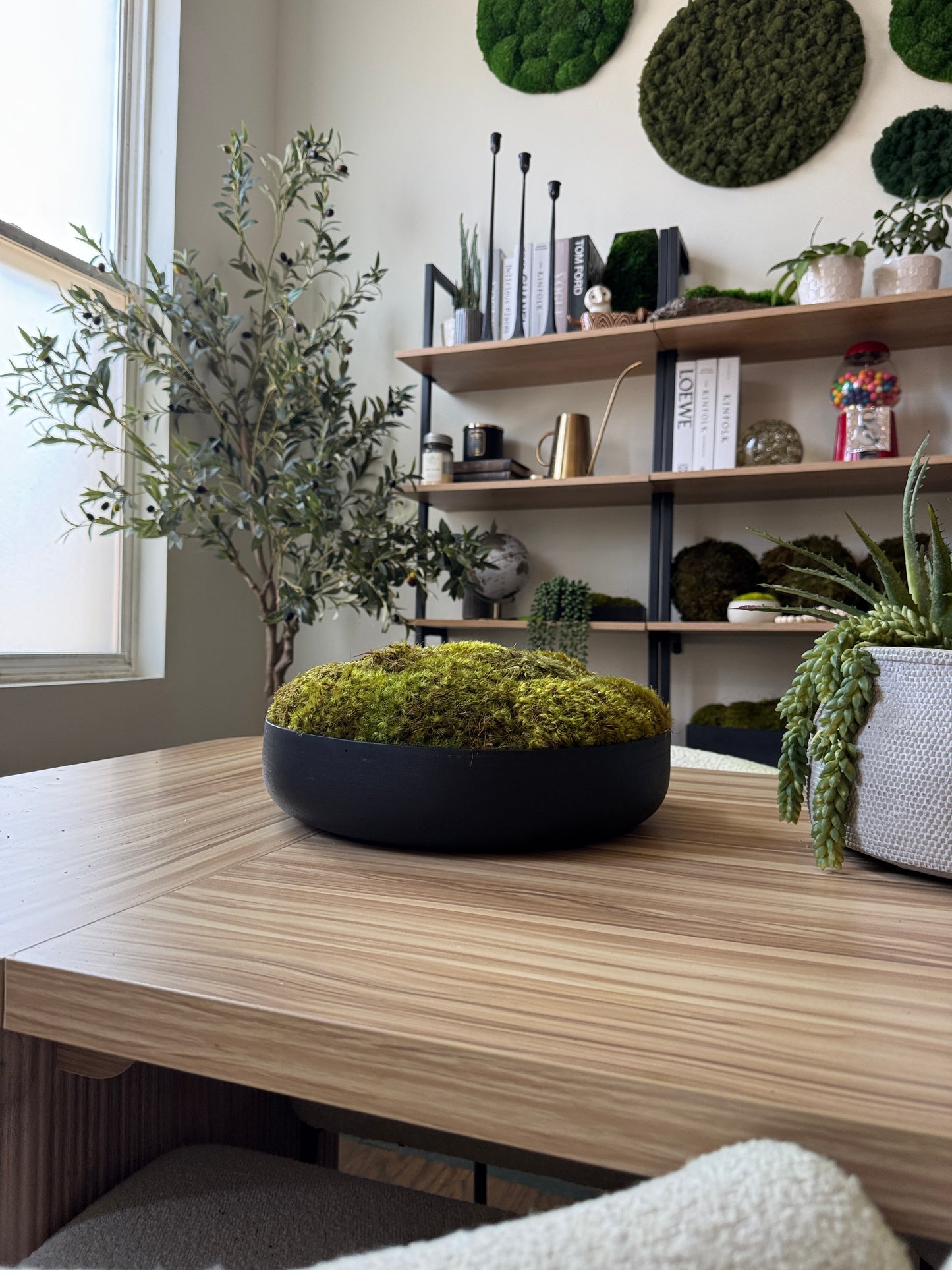 moss indoor plants interior design services Low Profile Black Moss Bowl
