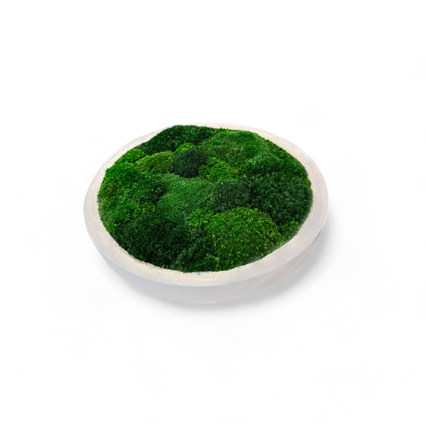 Low-Profile Concrete Moss Bowl