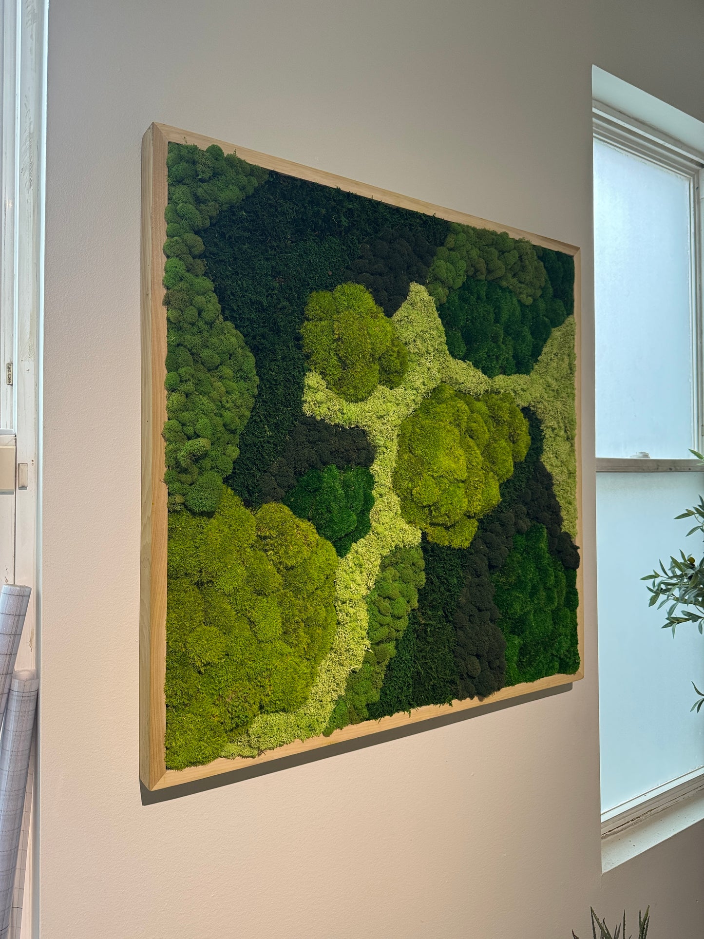 36x36" Angel's Forest Moss Art Frame: Ready to Ship