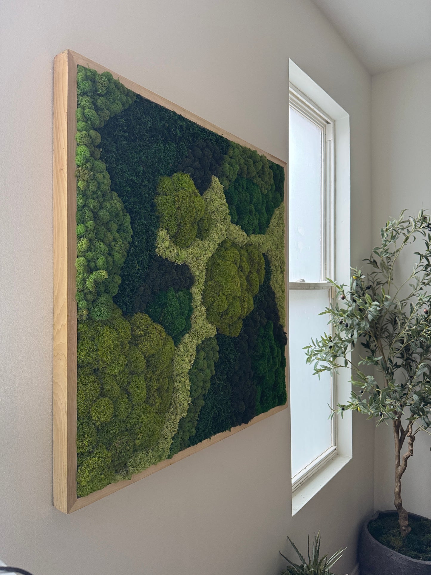 36x36" Angel's Forest Moss Art Frame: Ready to Ship