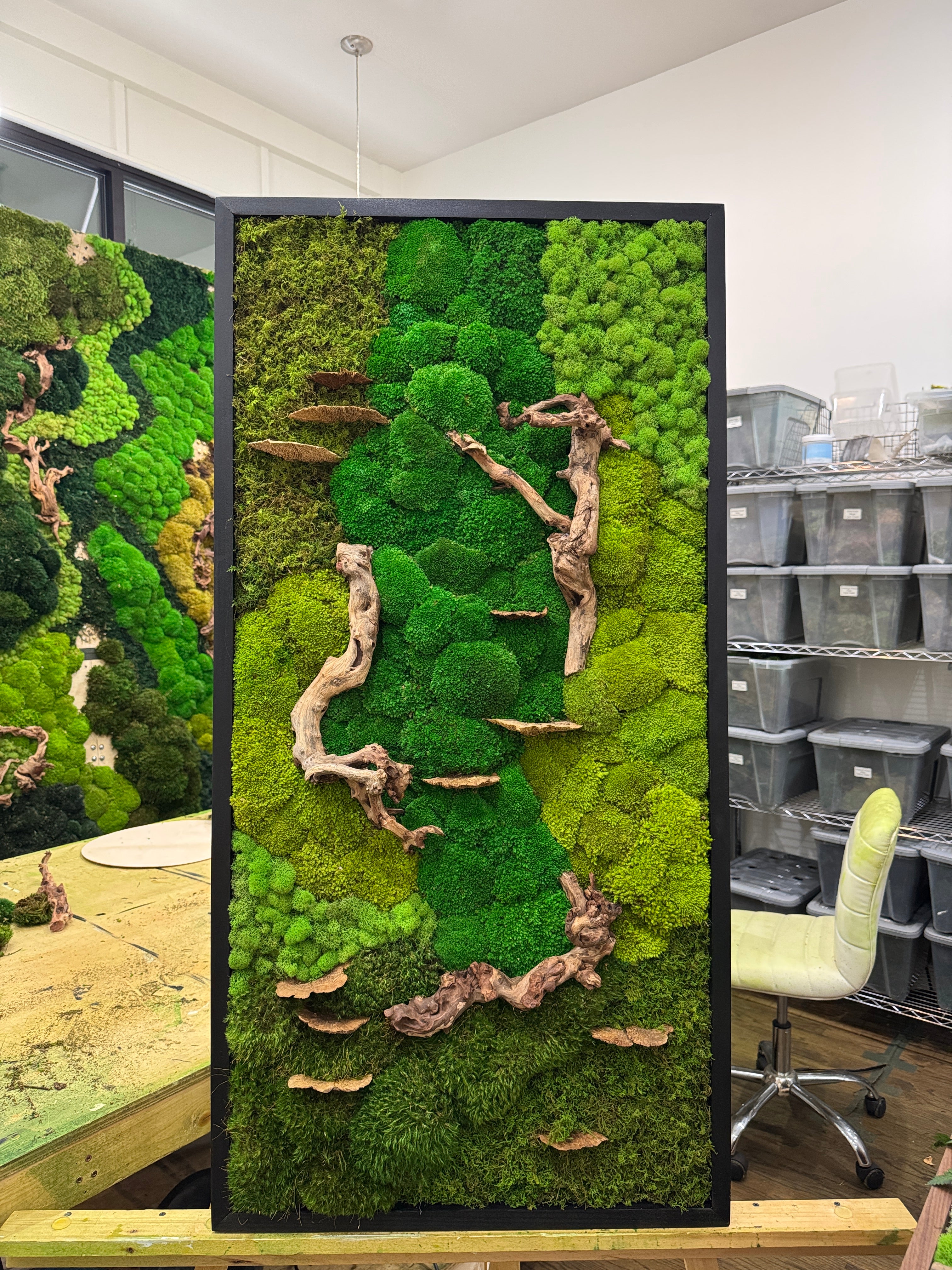 Drifted Woodlands Moss Art Frame – The Moss Shop