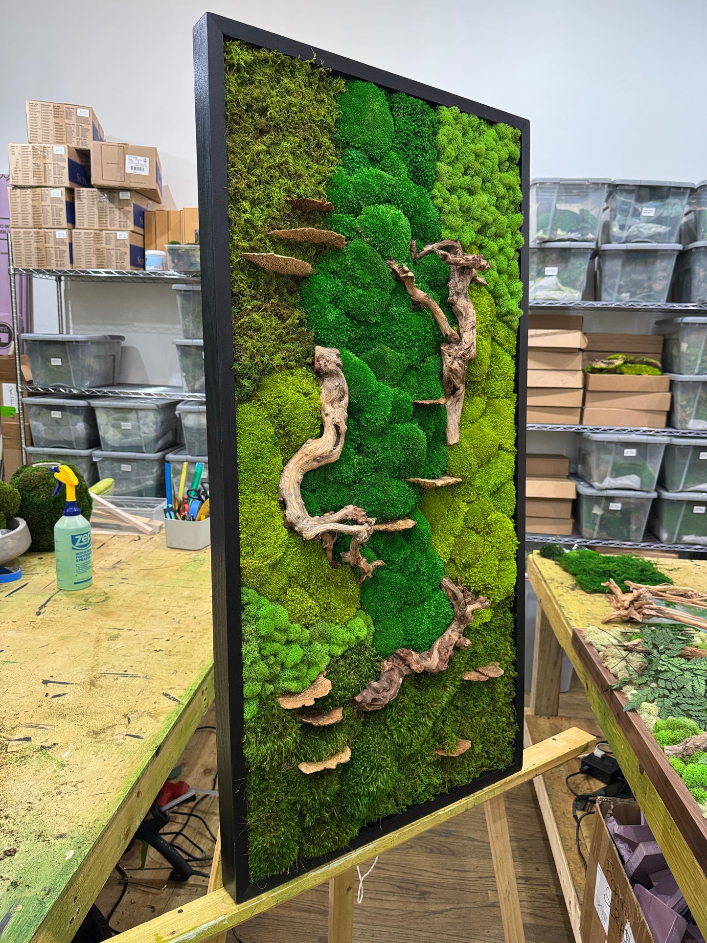 Drifted Woodlands Moss Art Frame