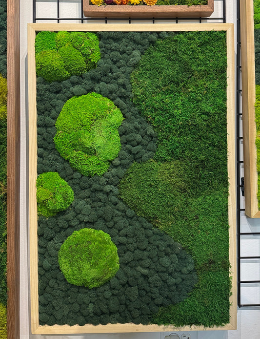 36x24 Celestial Moss Art Frame: Ready to Ship