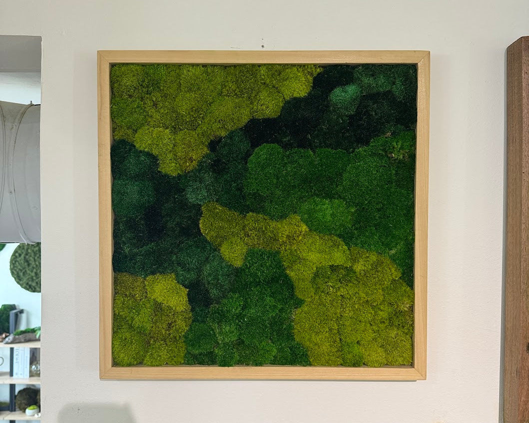 20x20" Moss Art Frame: Ready to Ship