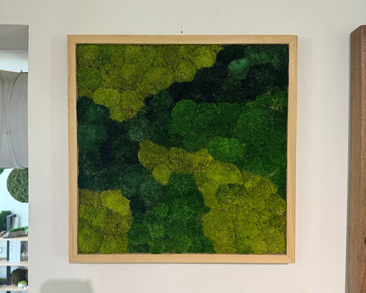 20x20" Moss Art Frame: Ready to Ship