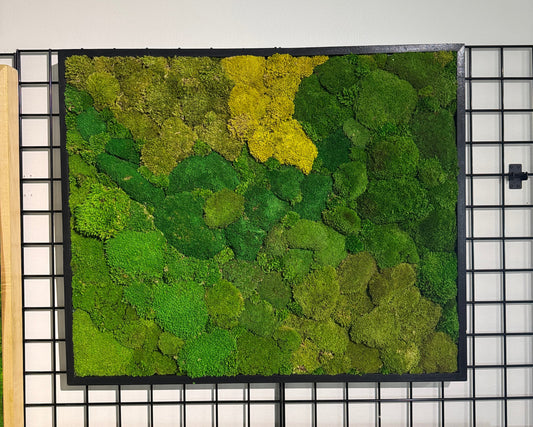 30x36 Mosaic Moss Art Frame: Ready to Ship