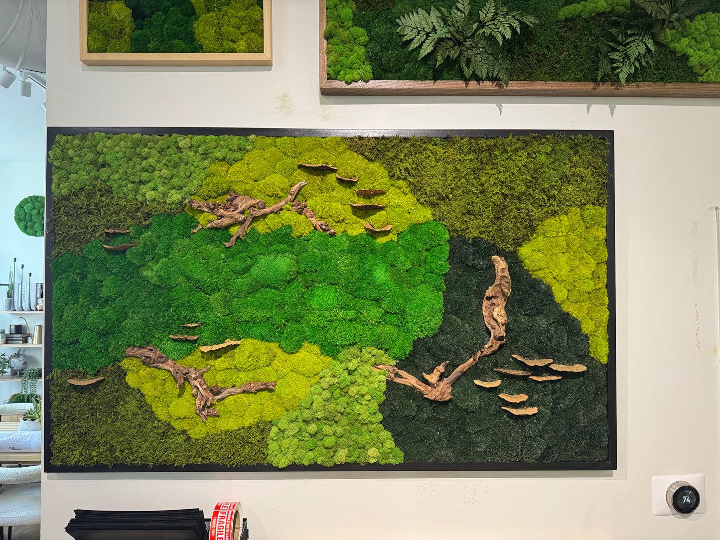 36x60" Drifted Woods Moss Art Frame: Ready to Ship