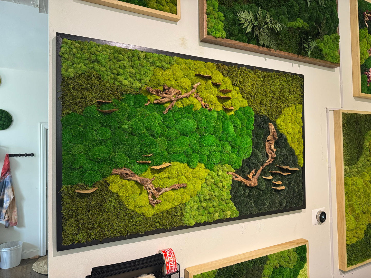 36x60" Drifted Woods Moss Art Frame: Ready to Ship