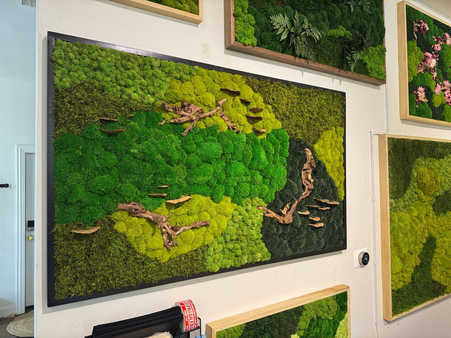 36x60" Drifted Woods Moss Art Frame: Ready to Ship