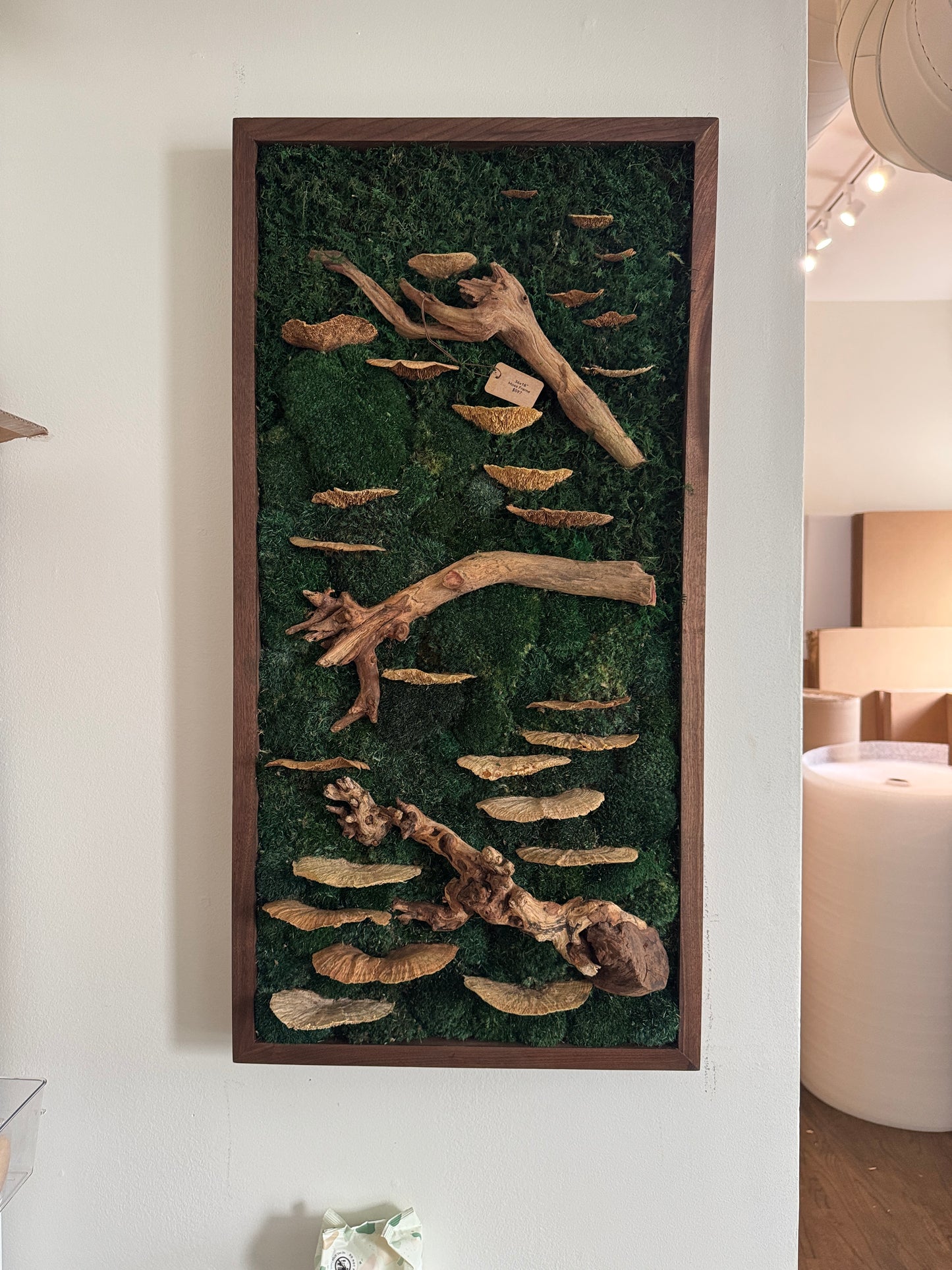 36x18" Foraged Mushroom Woodlands Moss Art Frame: Ready to Ship