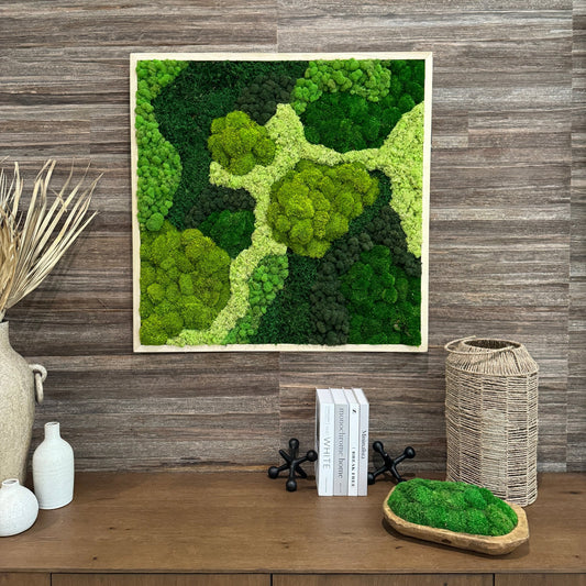 Aerial Jungle Moss Art Frame