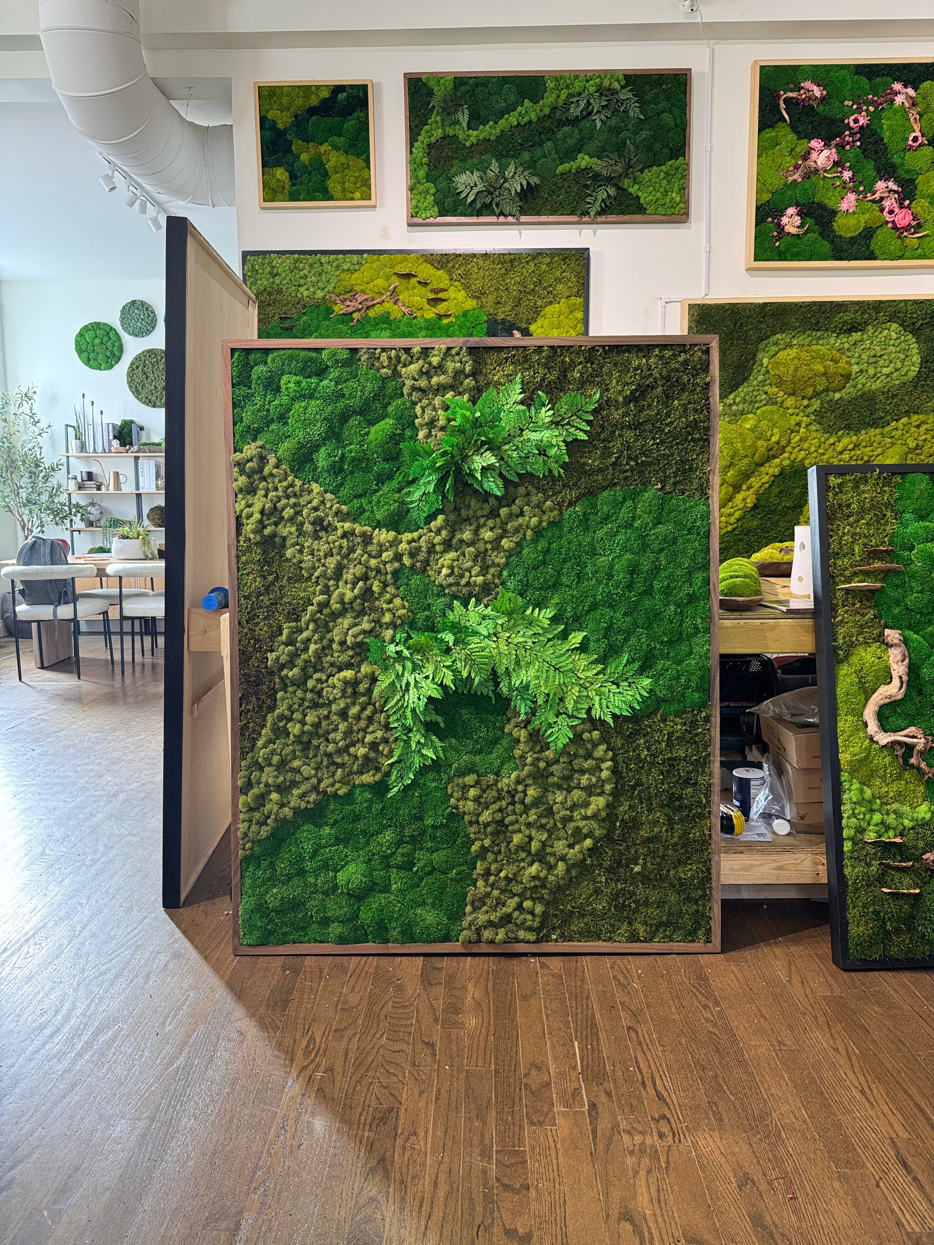 Green Terrain Moss Art Frame (Dark, One Piece) – The Moss Shop