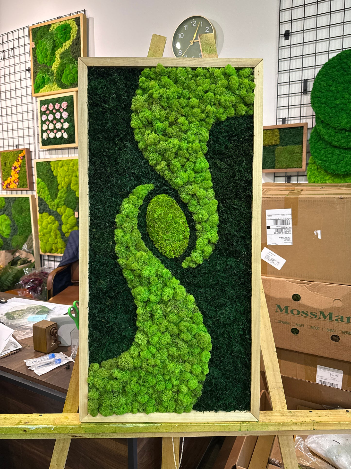 36x18" Center of Life Moss Art Frame: Ready to Ship