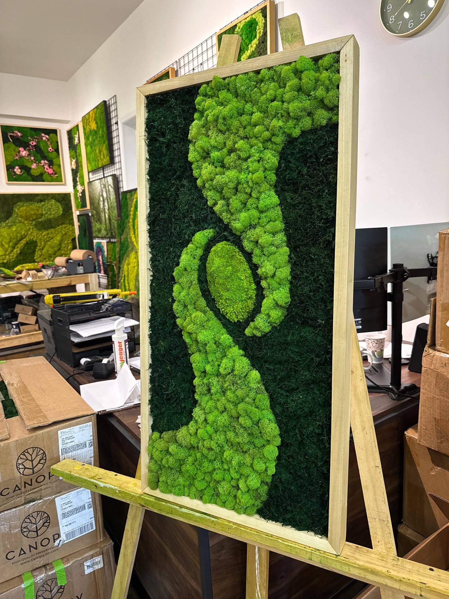 36x18" Center of Life Moss Art Frame: Ready to Ship