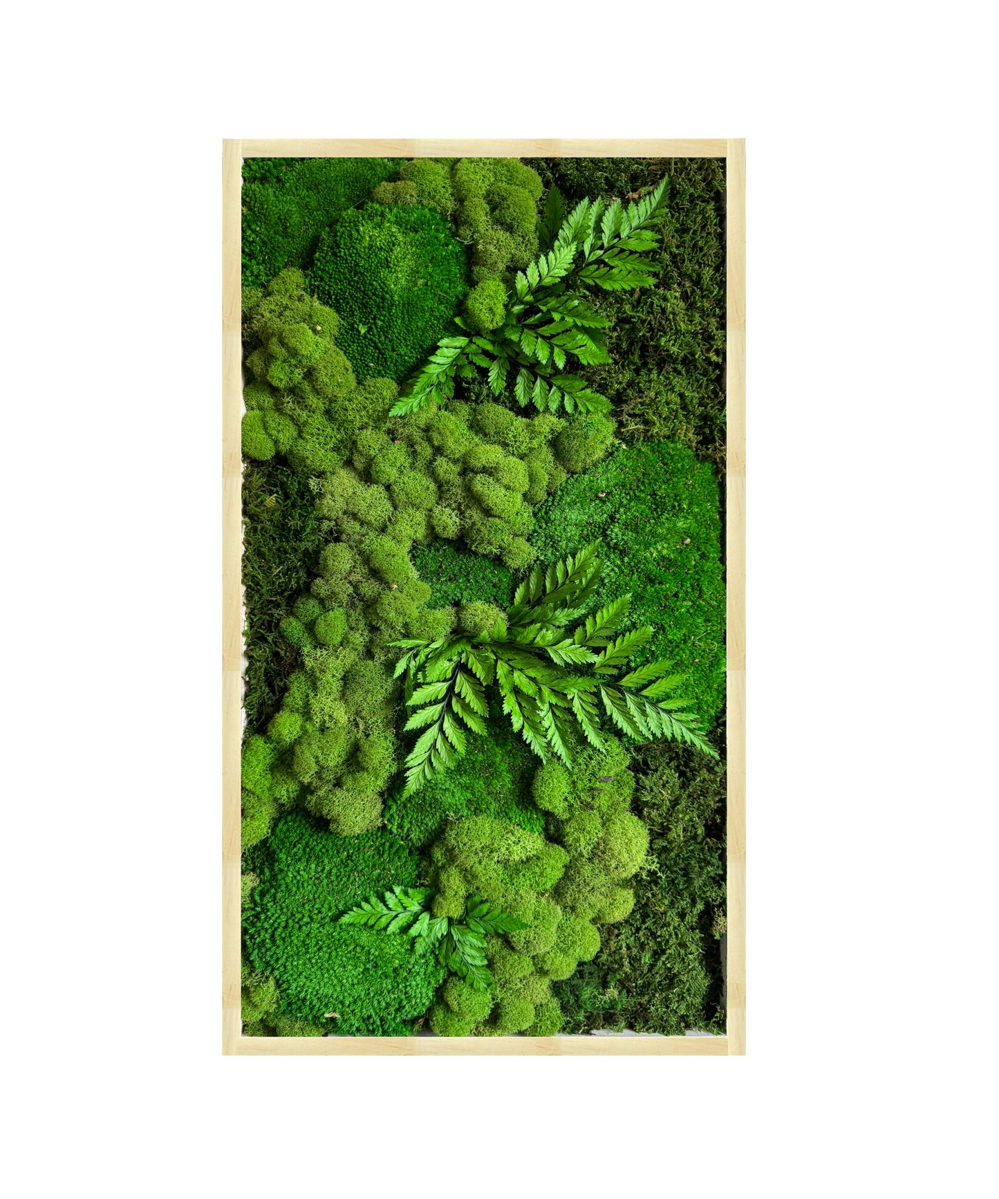 Green Terrain Moss Art Frame