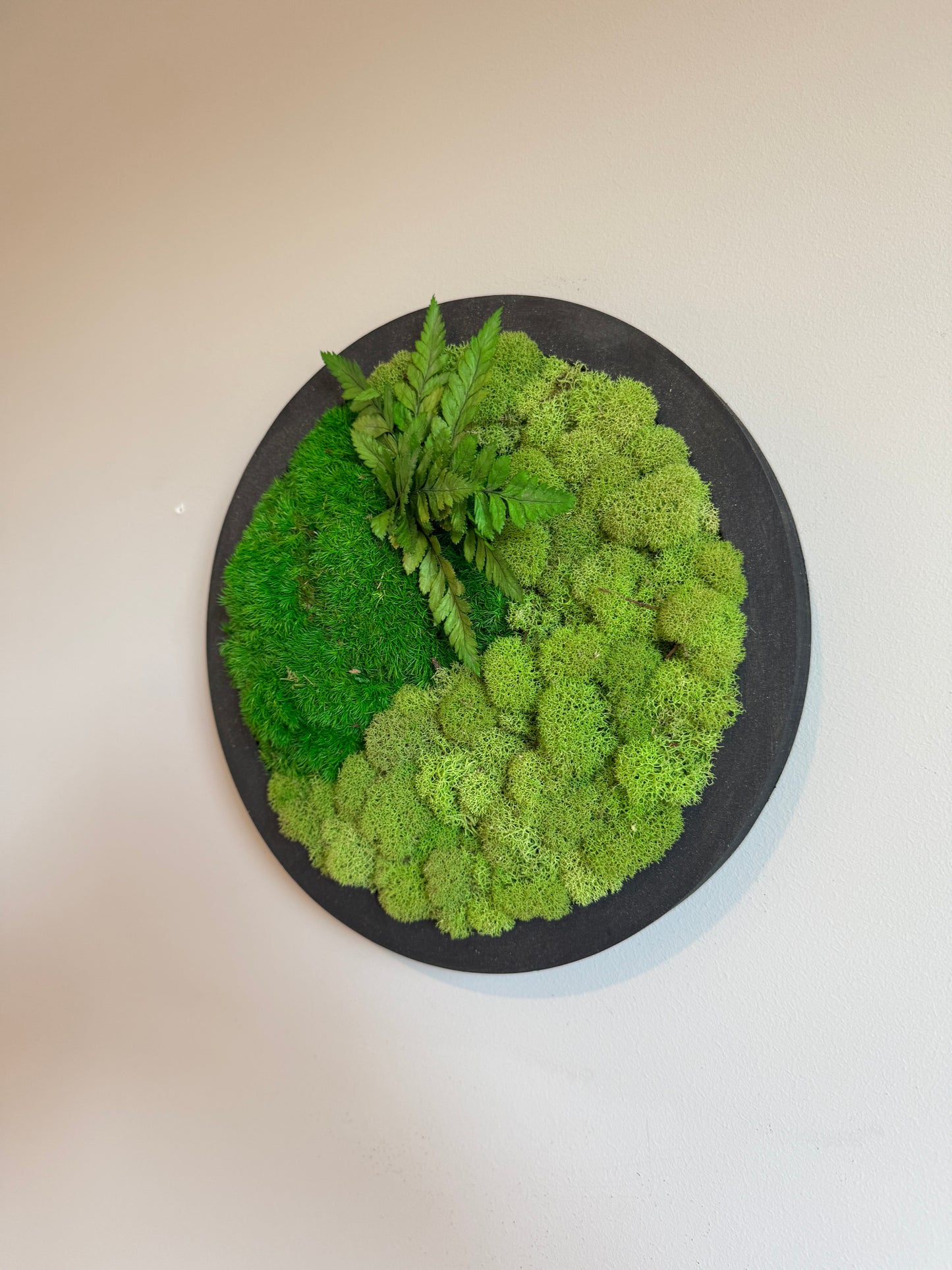 Mood Moss & Leaves Circle Moss Art Frame