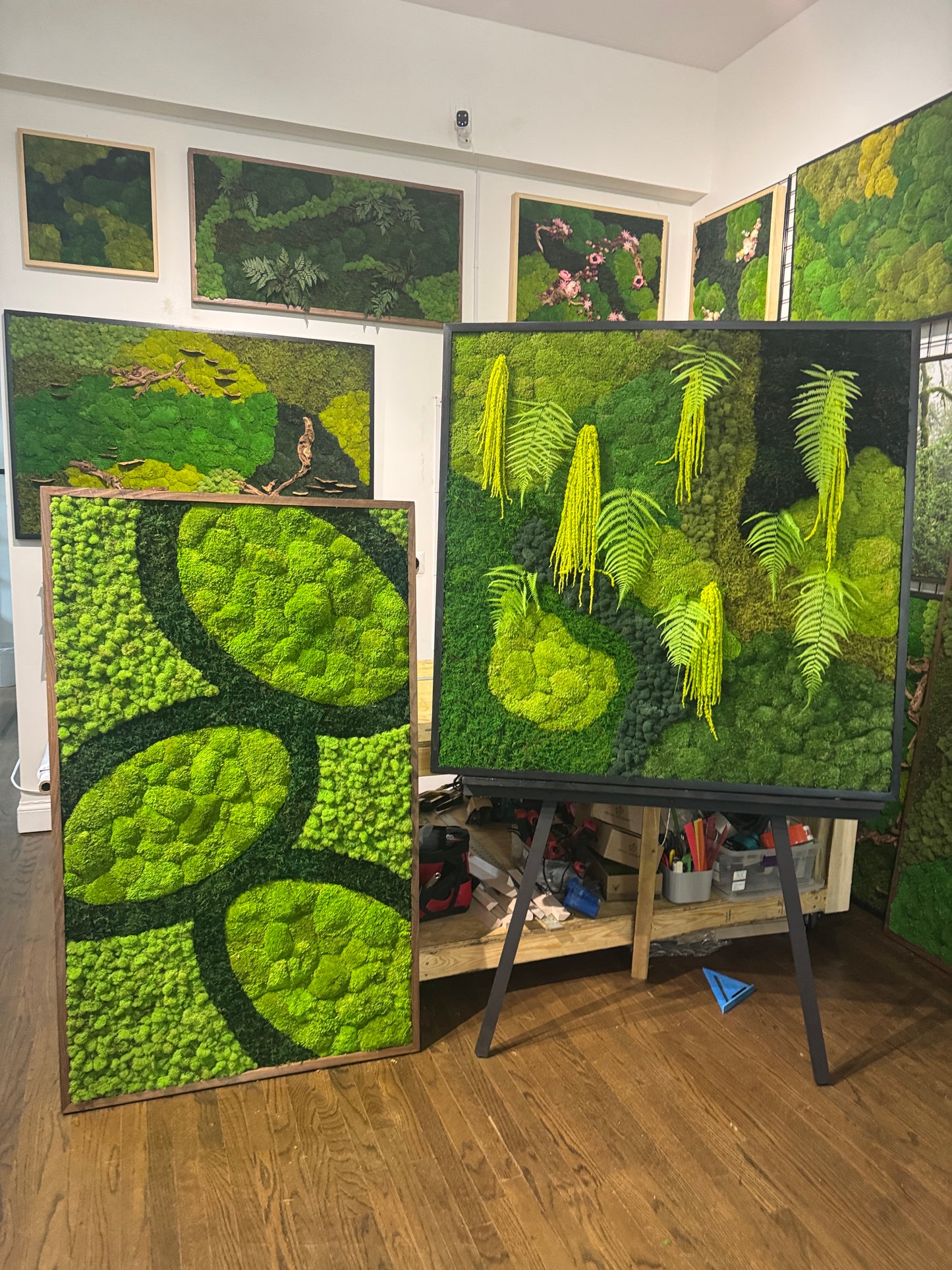 Biophilic Balance Moss Art Frame