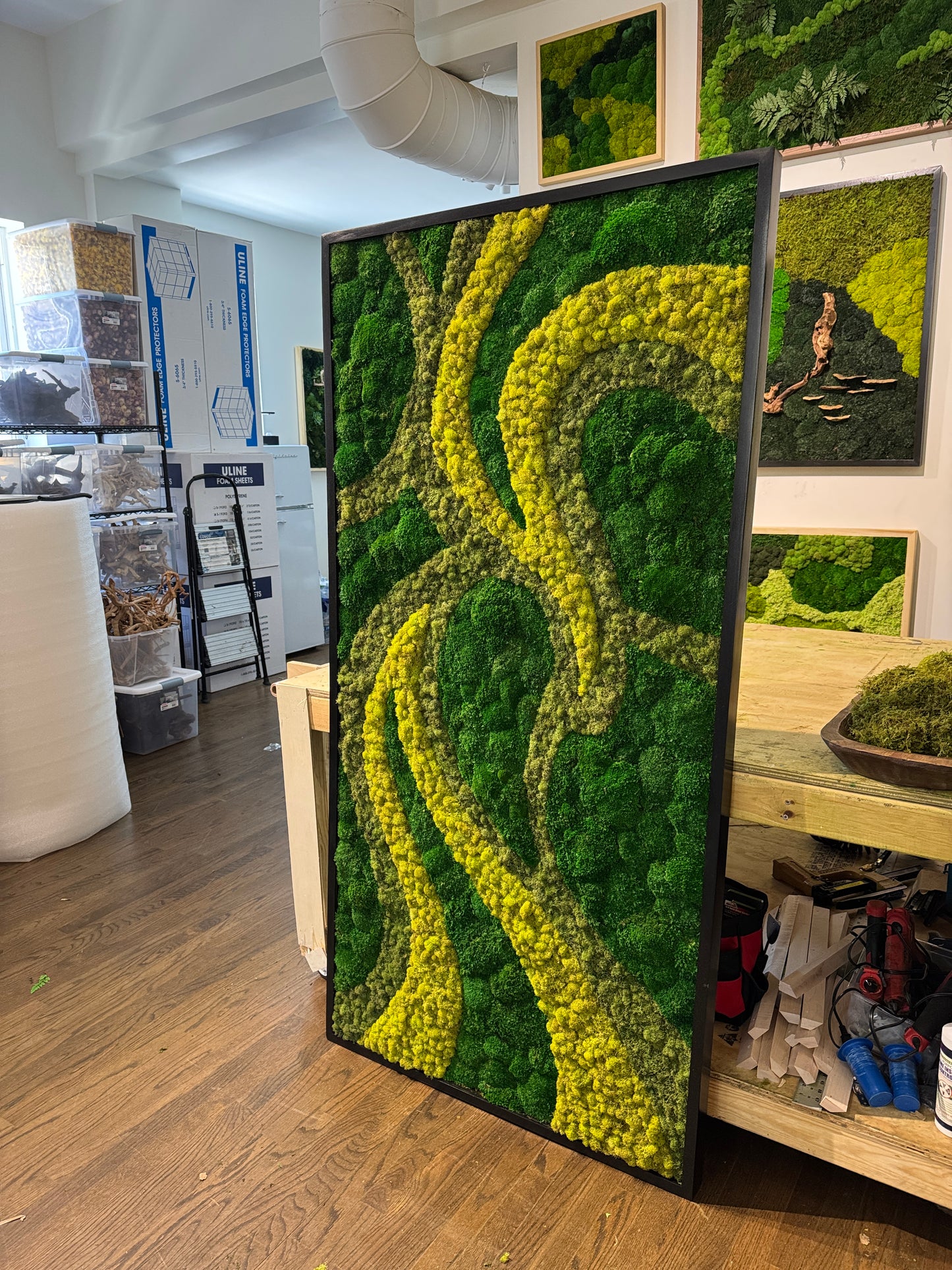 Ethereal Pathways Moss Art Frame