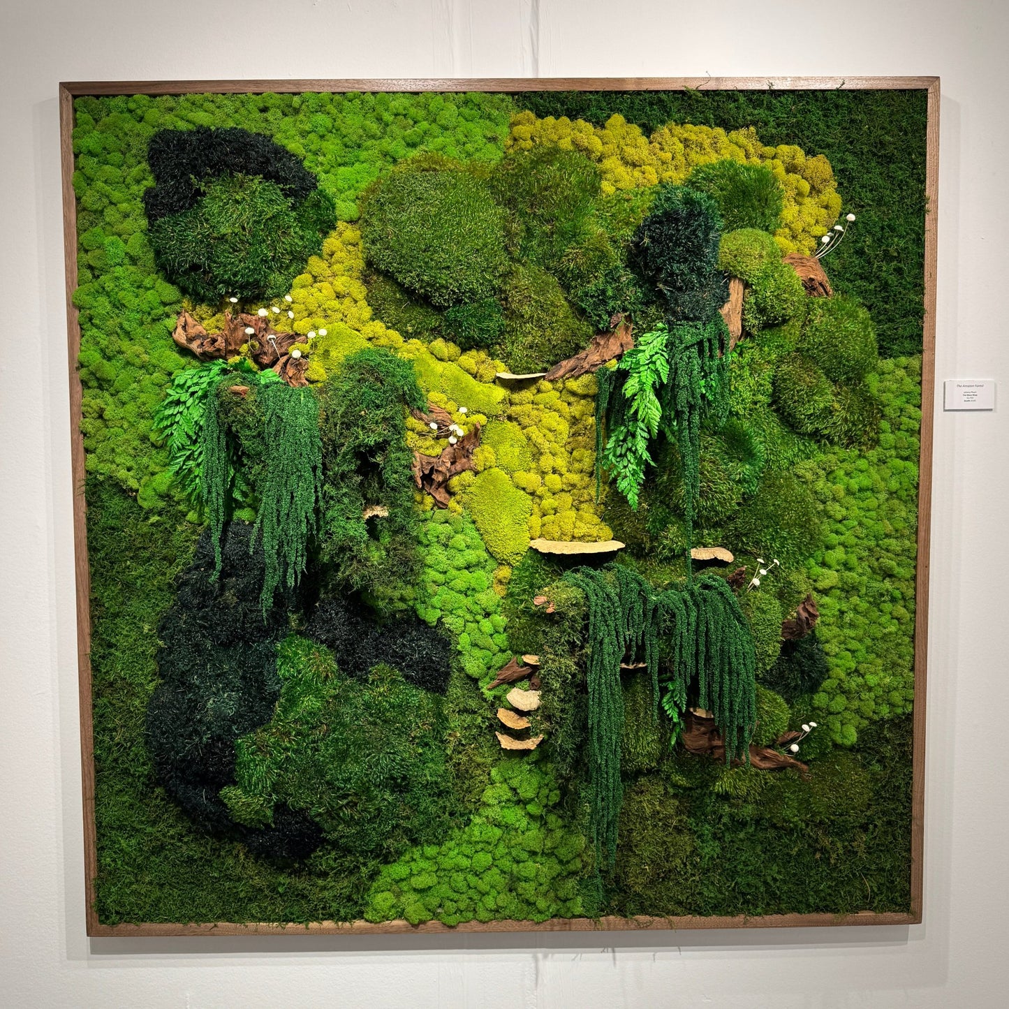 The Enchanted Forest - Moss Frame