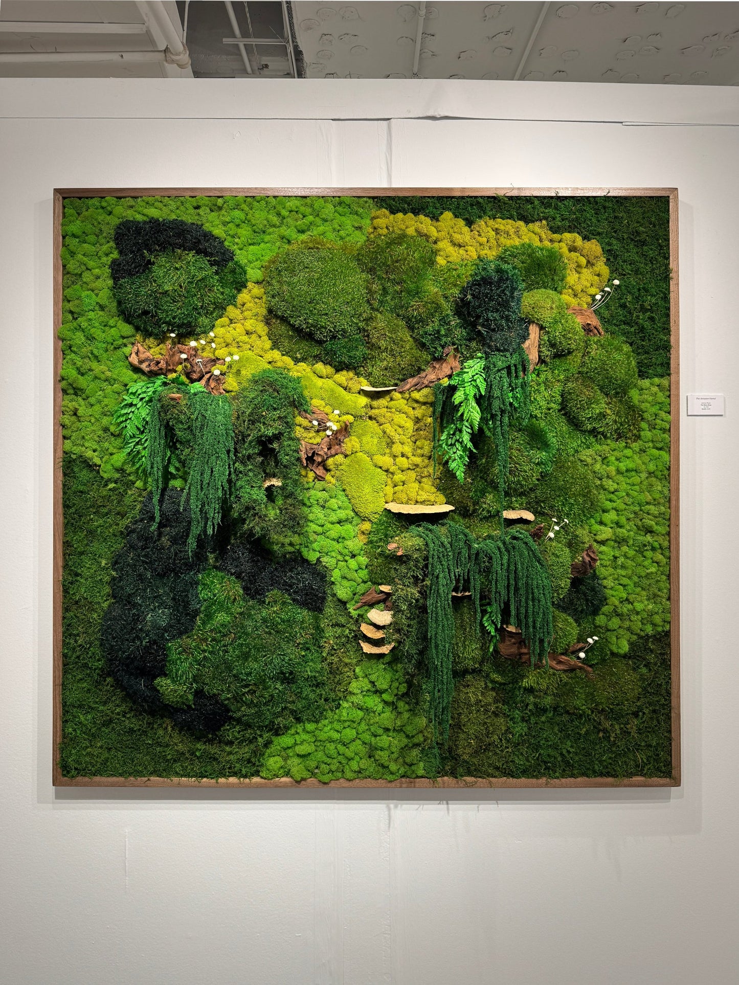 The Enchanted Forest - Moss Frame