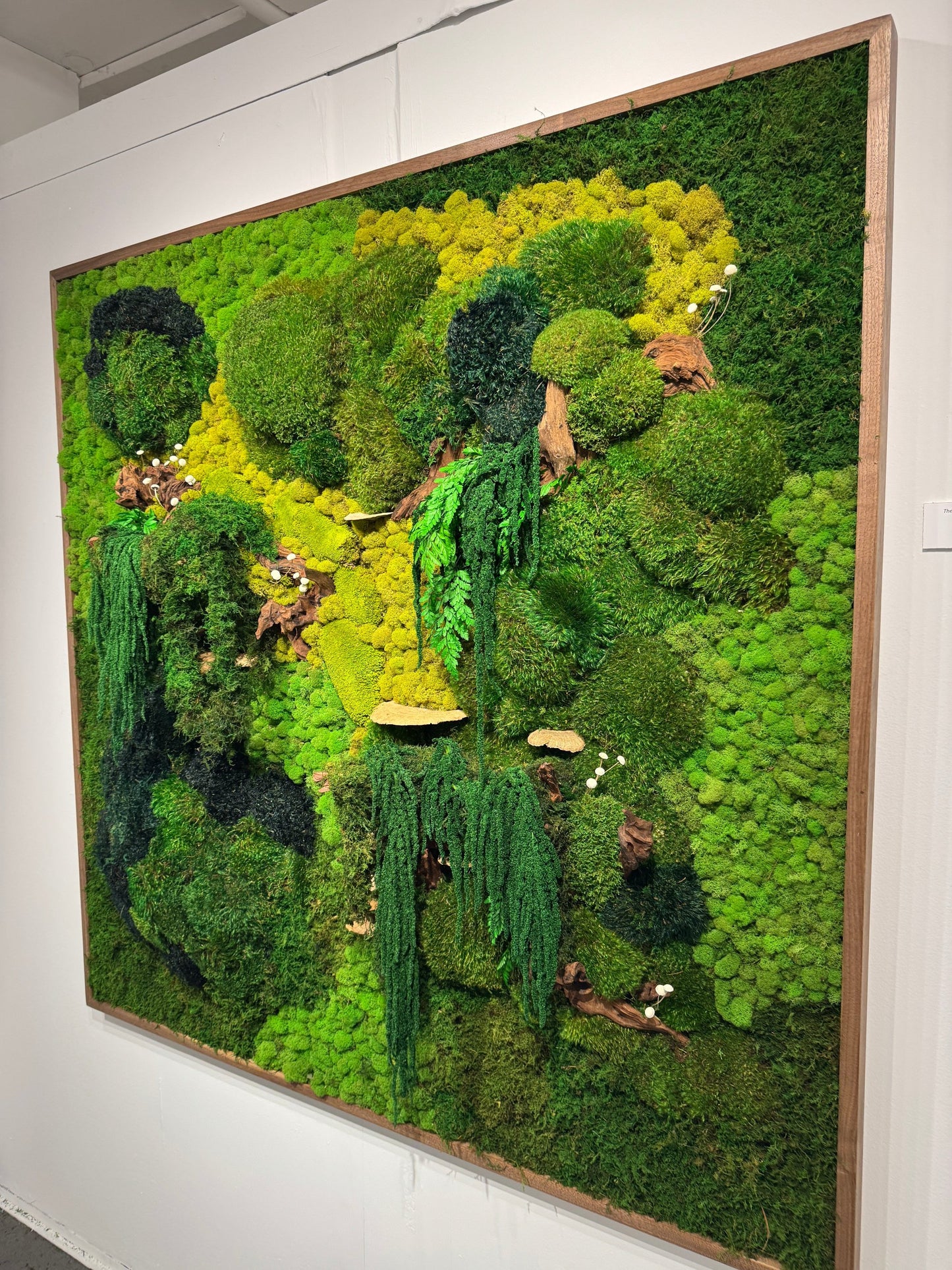 The Enchanted Forest - Moss Frame