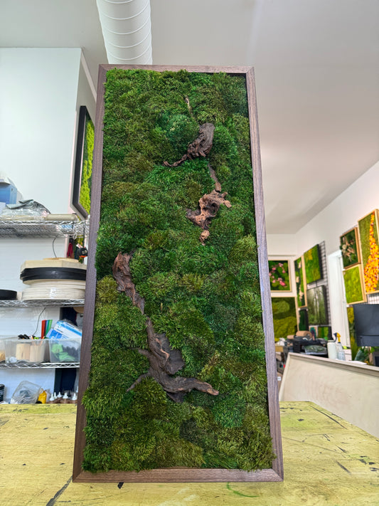 38x16" Hidden Woods Moss Art Frame: Ready to Ship