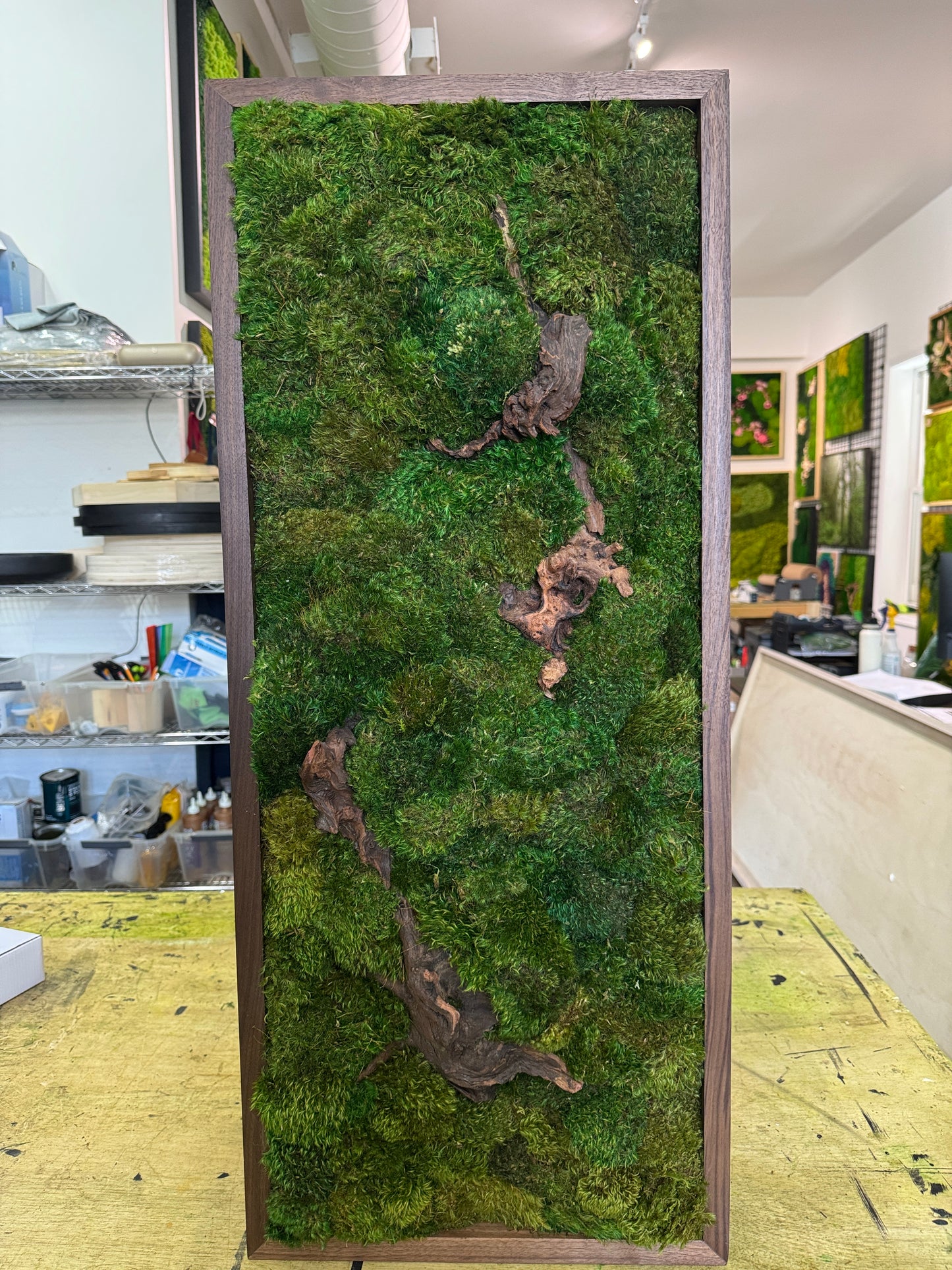 38x16" Hidden Woods Moss Art Frame: Ready to Ship
