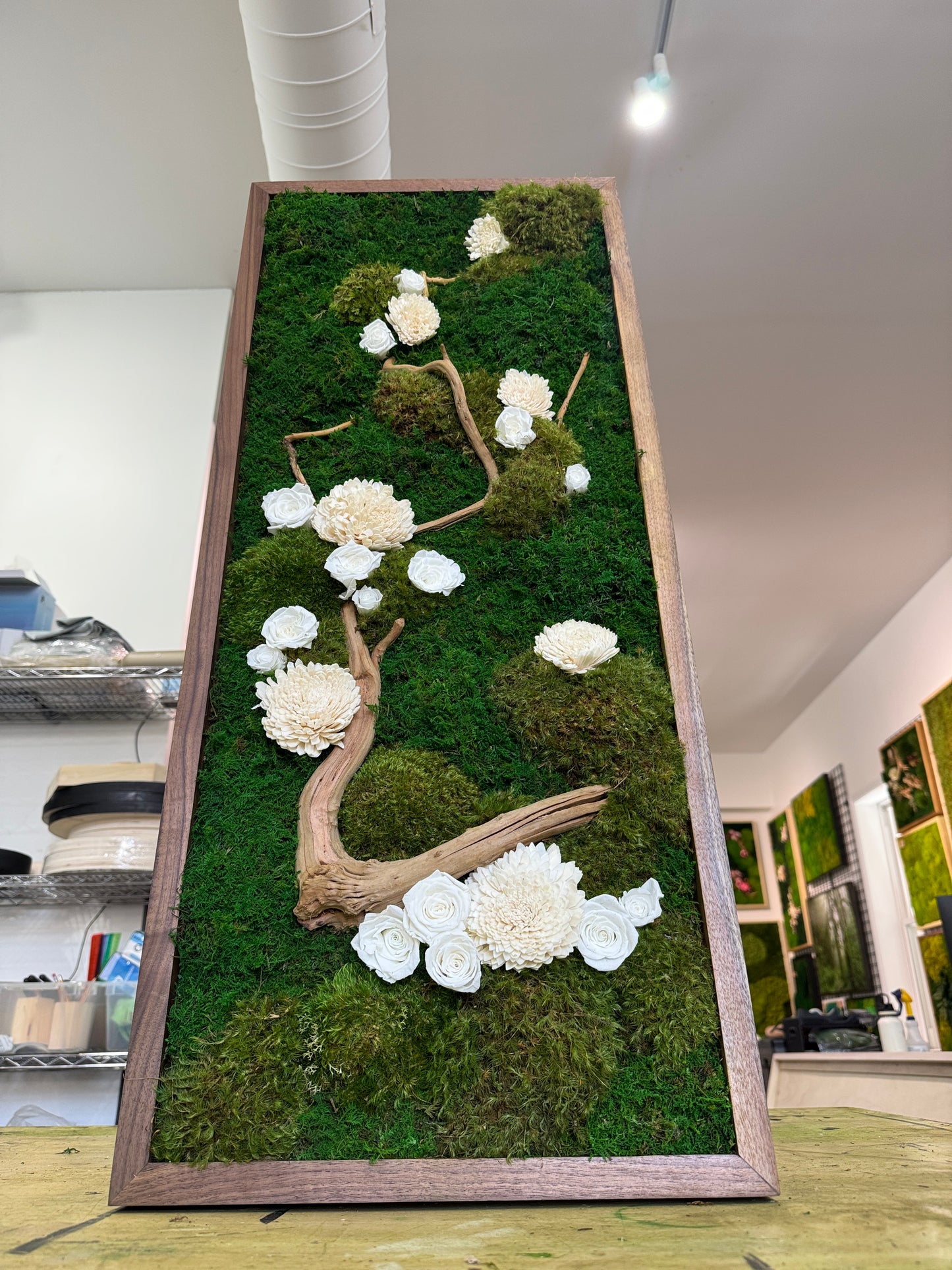 38x16" White Enchanted Moss Art Frame: Ready to Ship