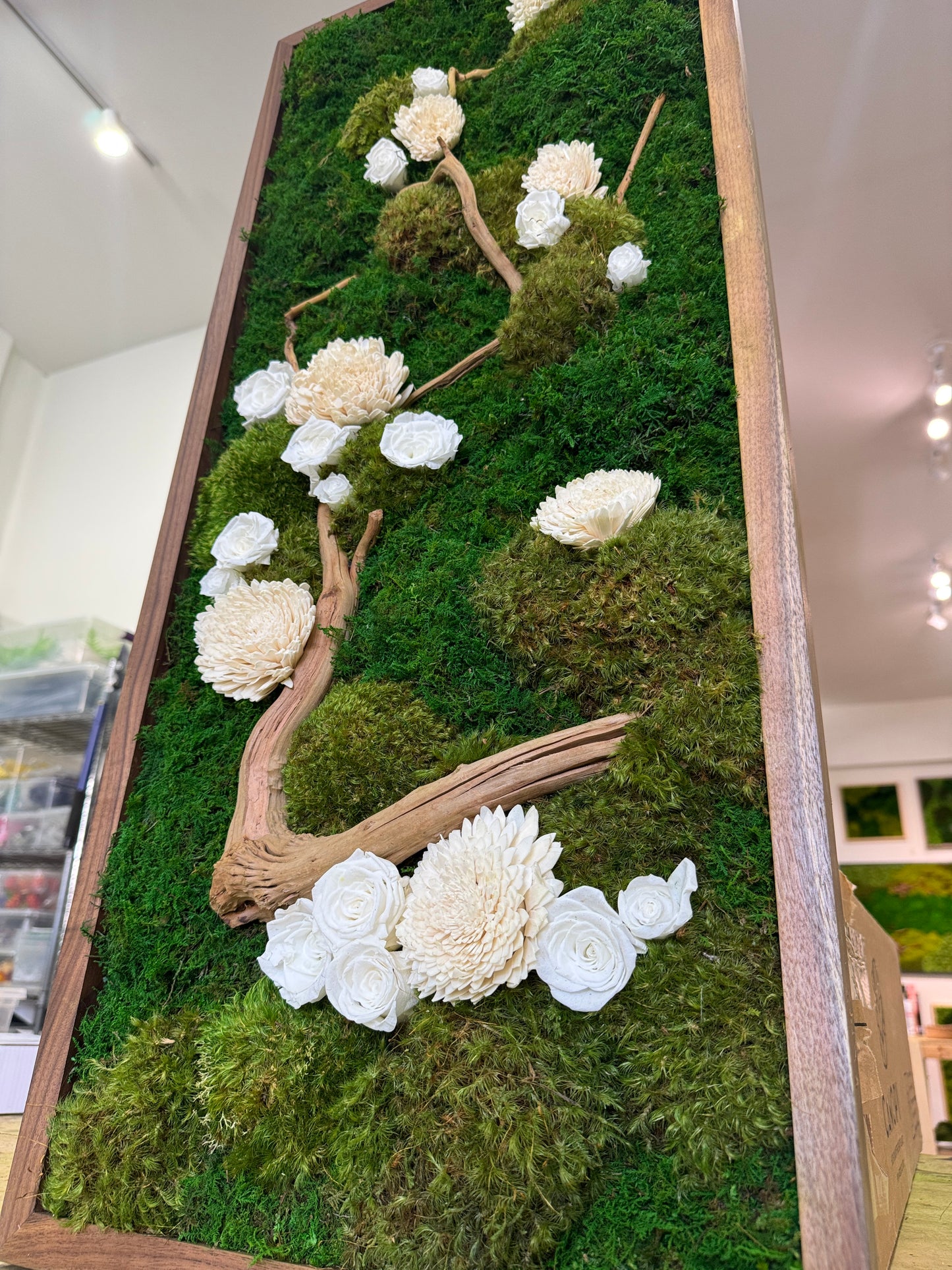 38x16" White Enchanted Moss Art Frame: Ready to Ship