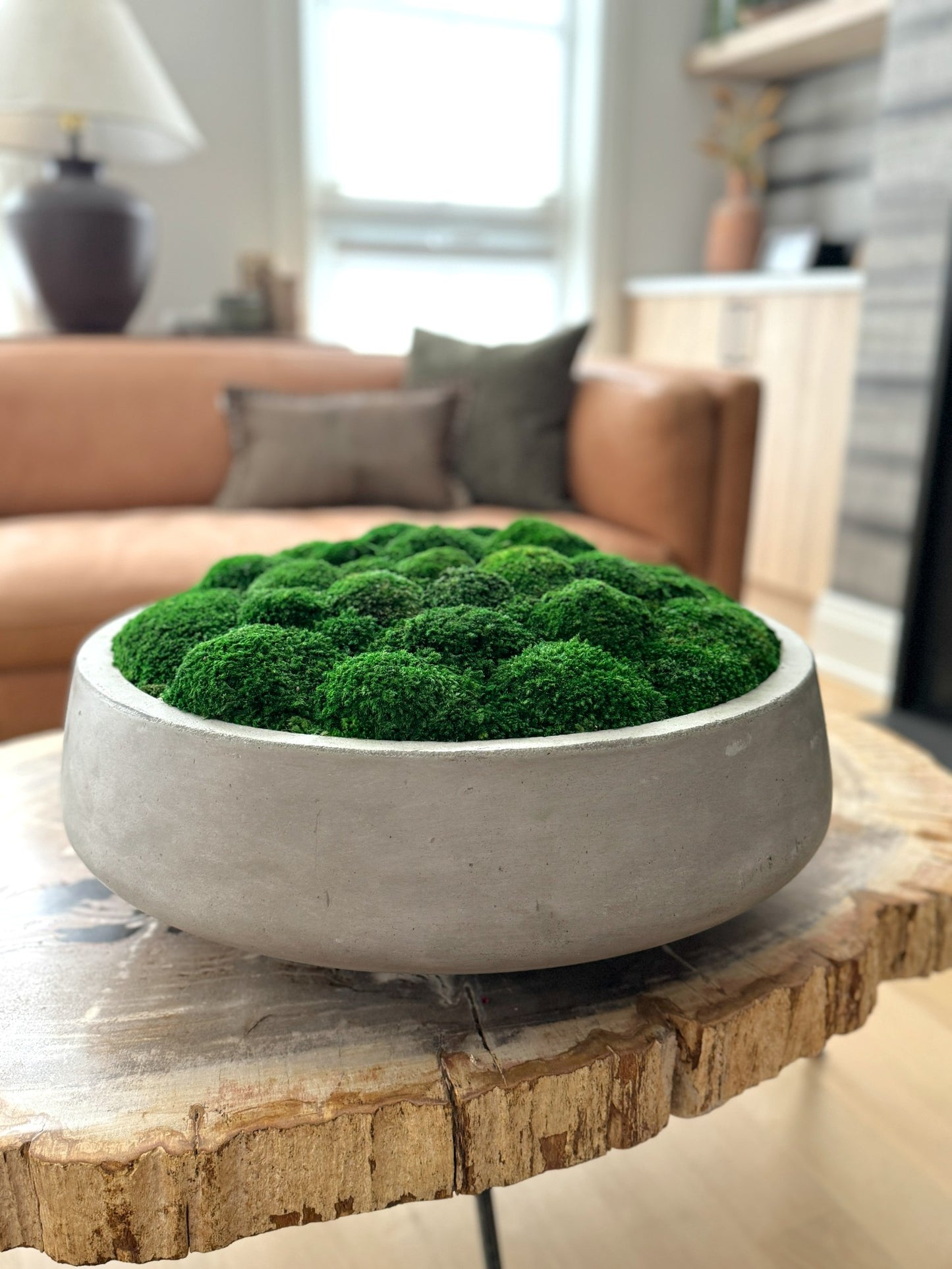 The Grand Concrete Moss Bowl 13", 17", or 22"