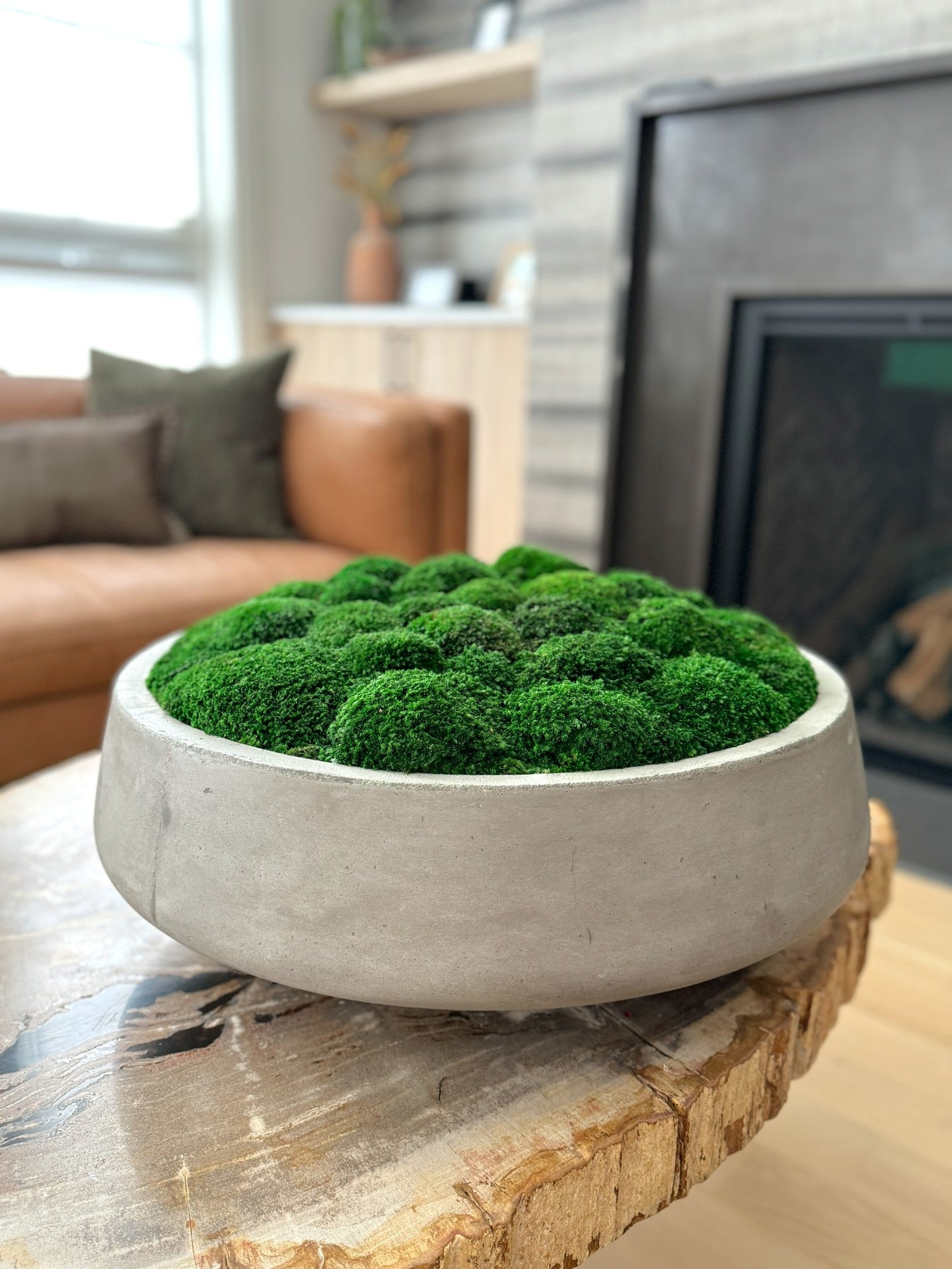 The Grand Concrete Moss Bowl 13", 17", or 22"