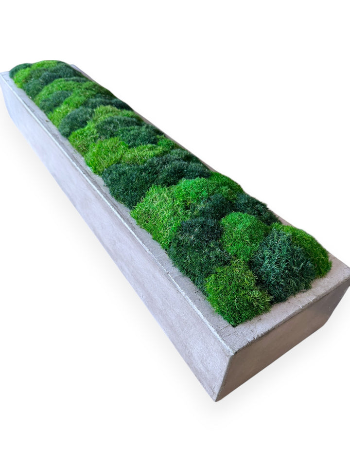 The Moss Cylinder Vase - Concrete Green - M