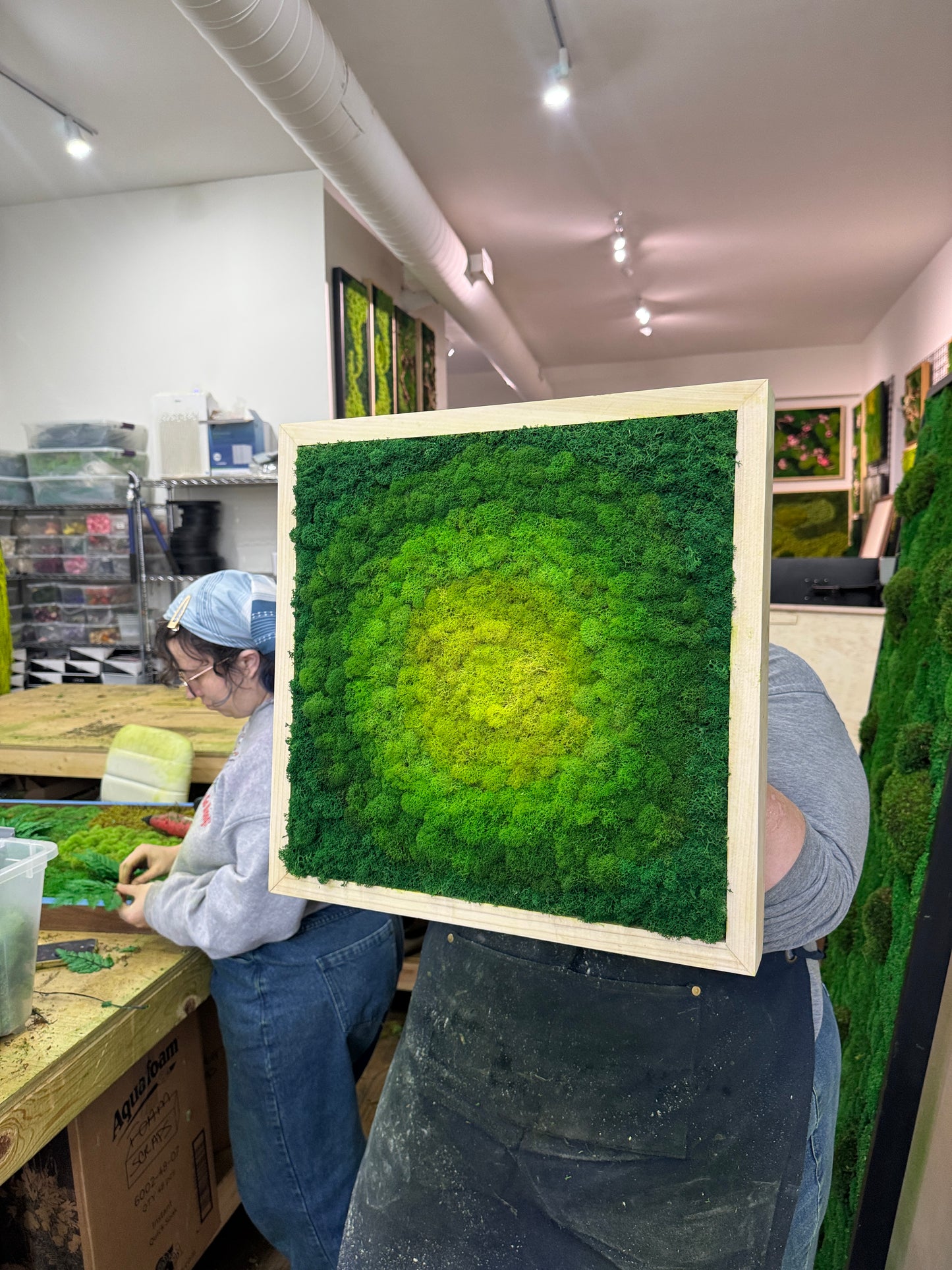 Tranquil Mandala Moss Art Frame