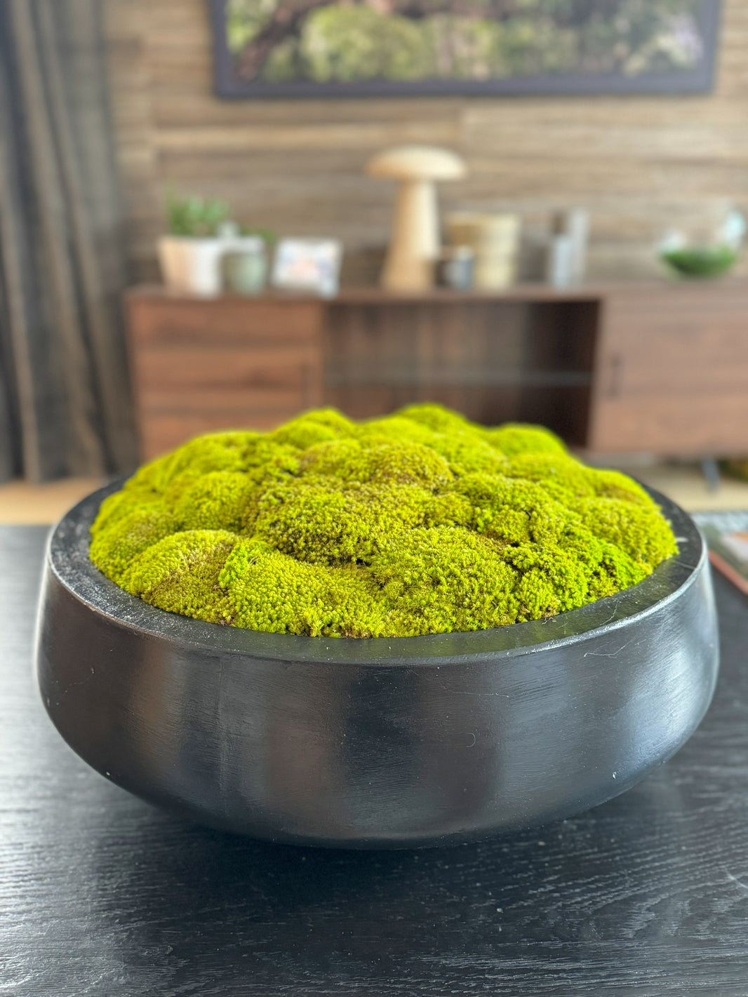 Preserved Moss Wall Art & Decor - Custom Panels, Frames, and Bowls ...