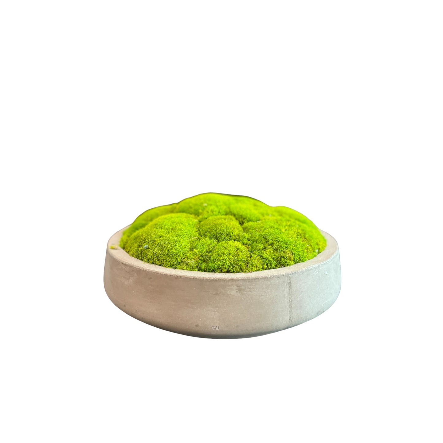 Huntington Moss Bowl 13",17", or 22"  (Light Green)