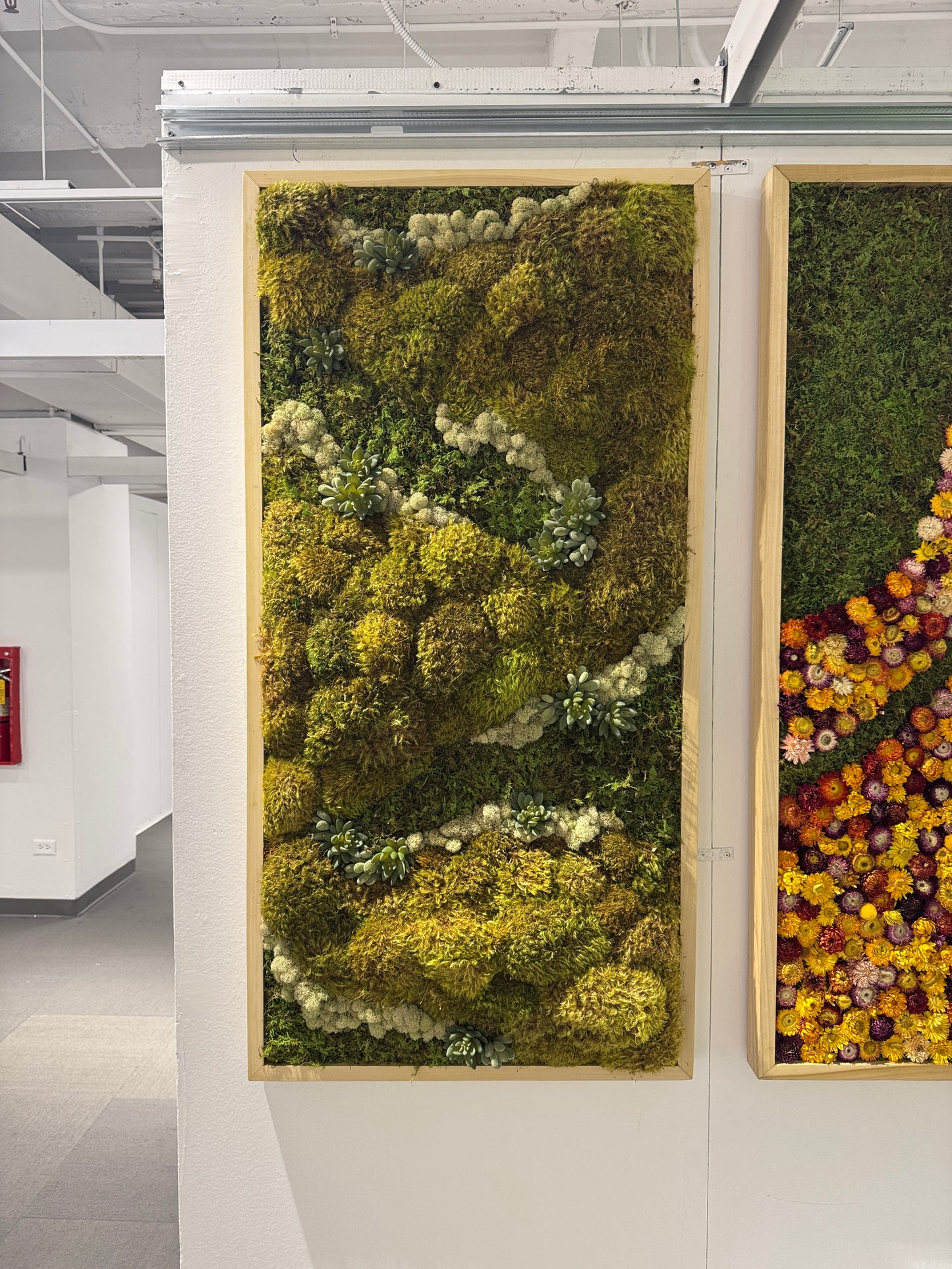 Sage & Stone Moss Art Frame