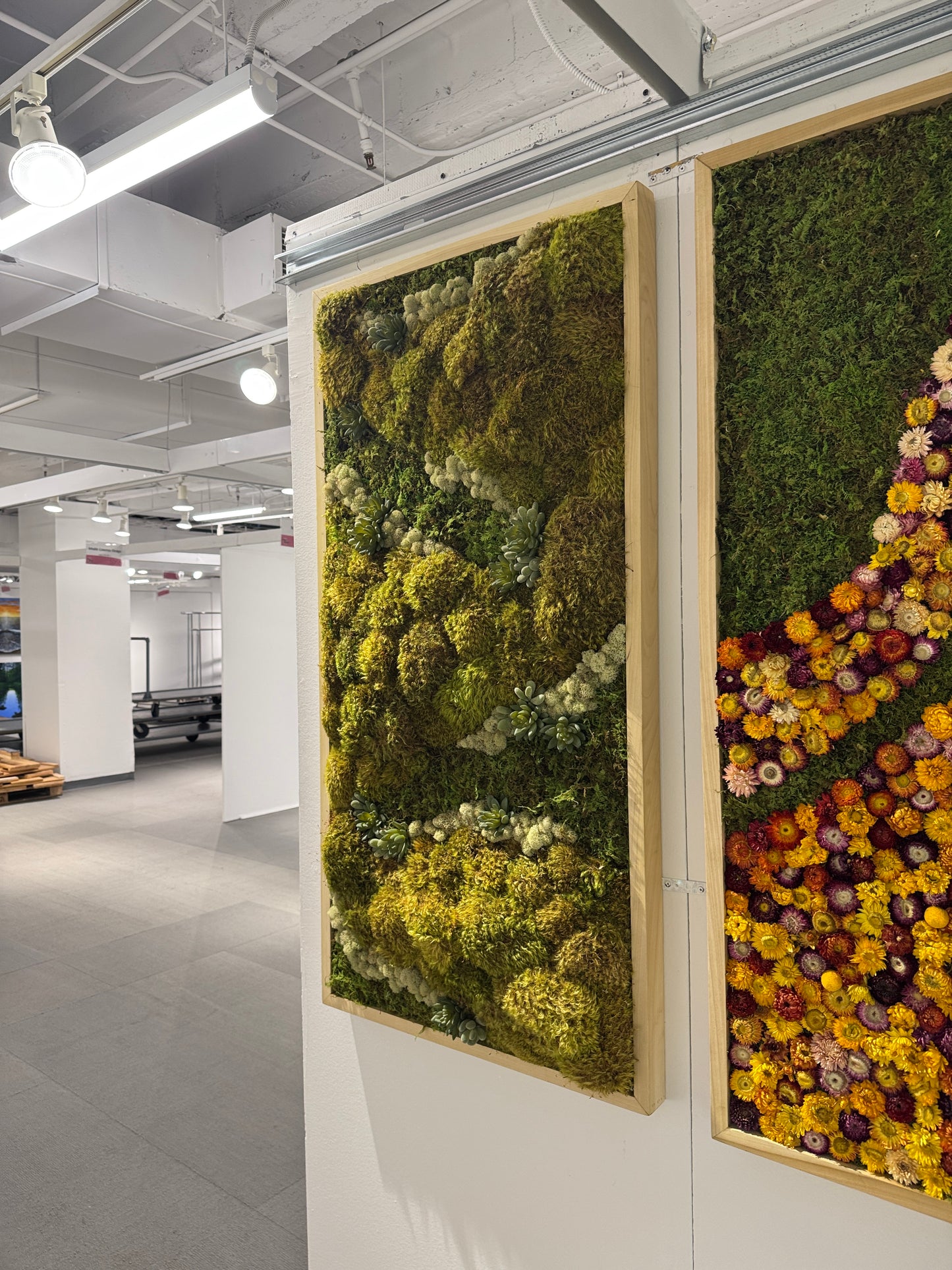 Sage & Stone Moss Art Frame