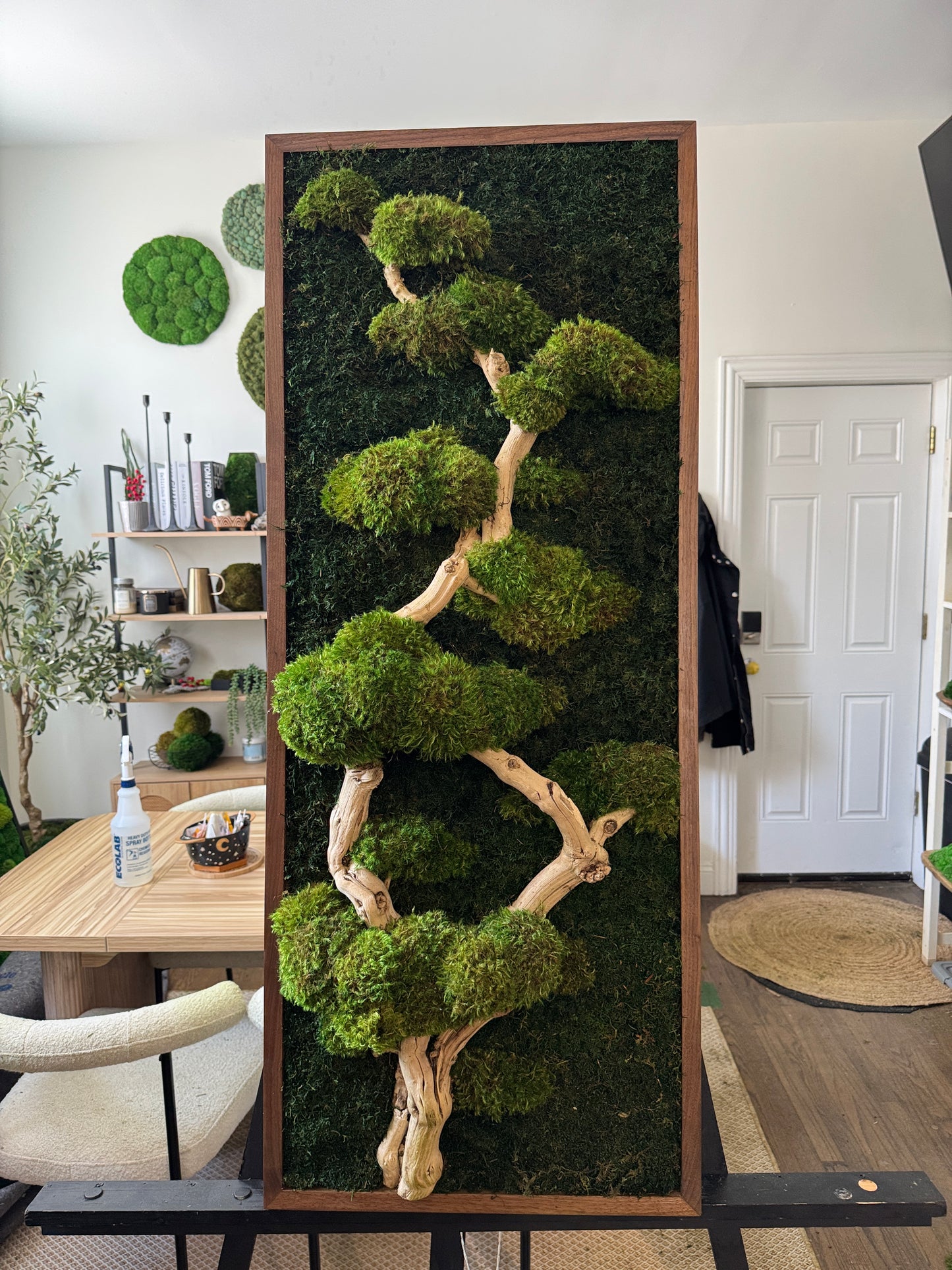 Bonsai Tree Moss Art Frame 1