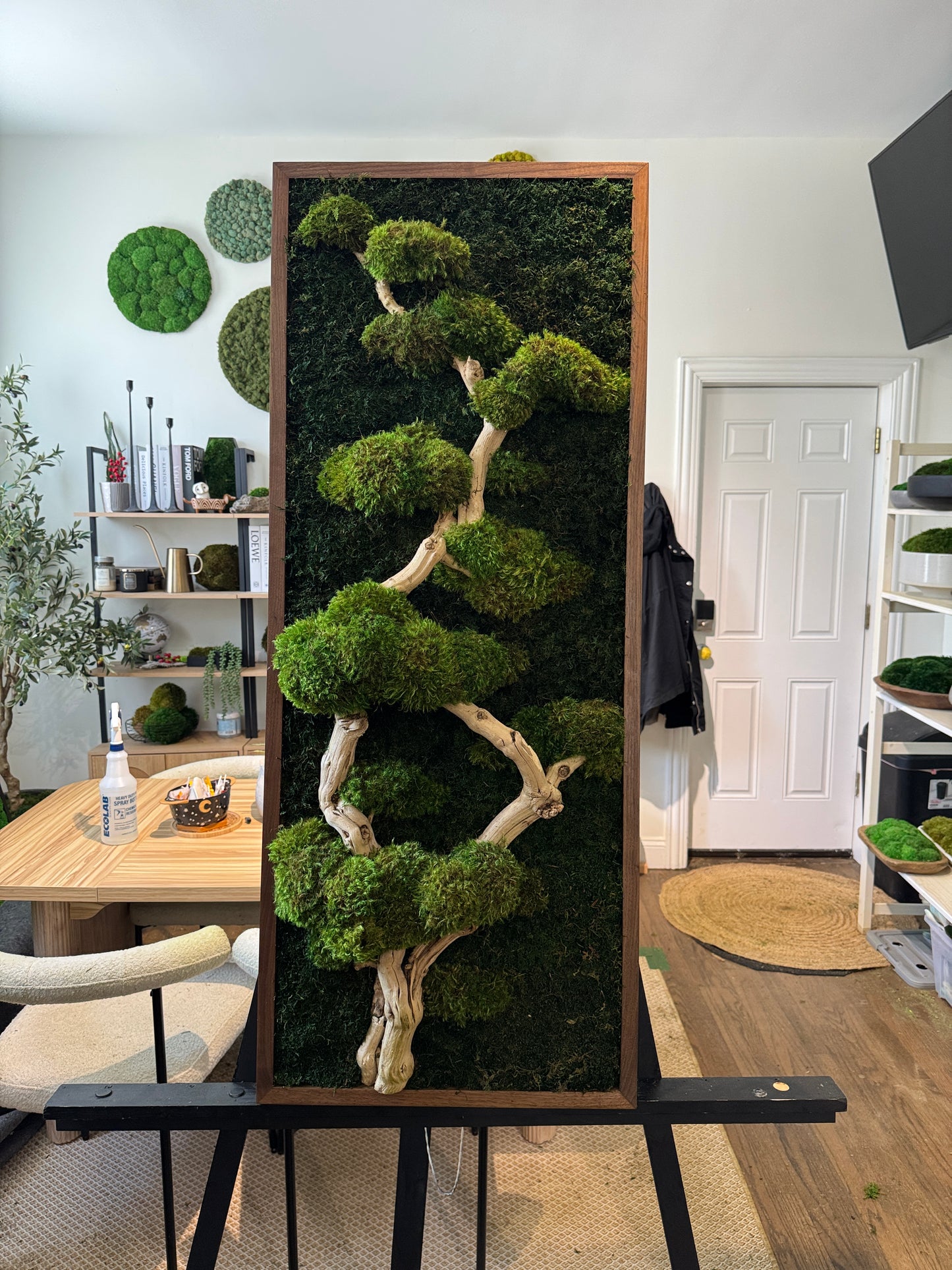 Bonsai Tree Moss Art Frame 1