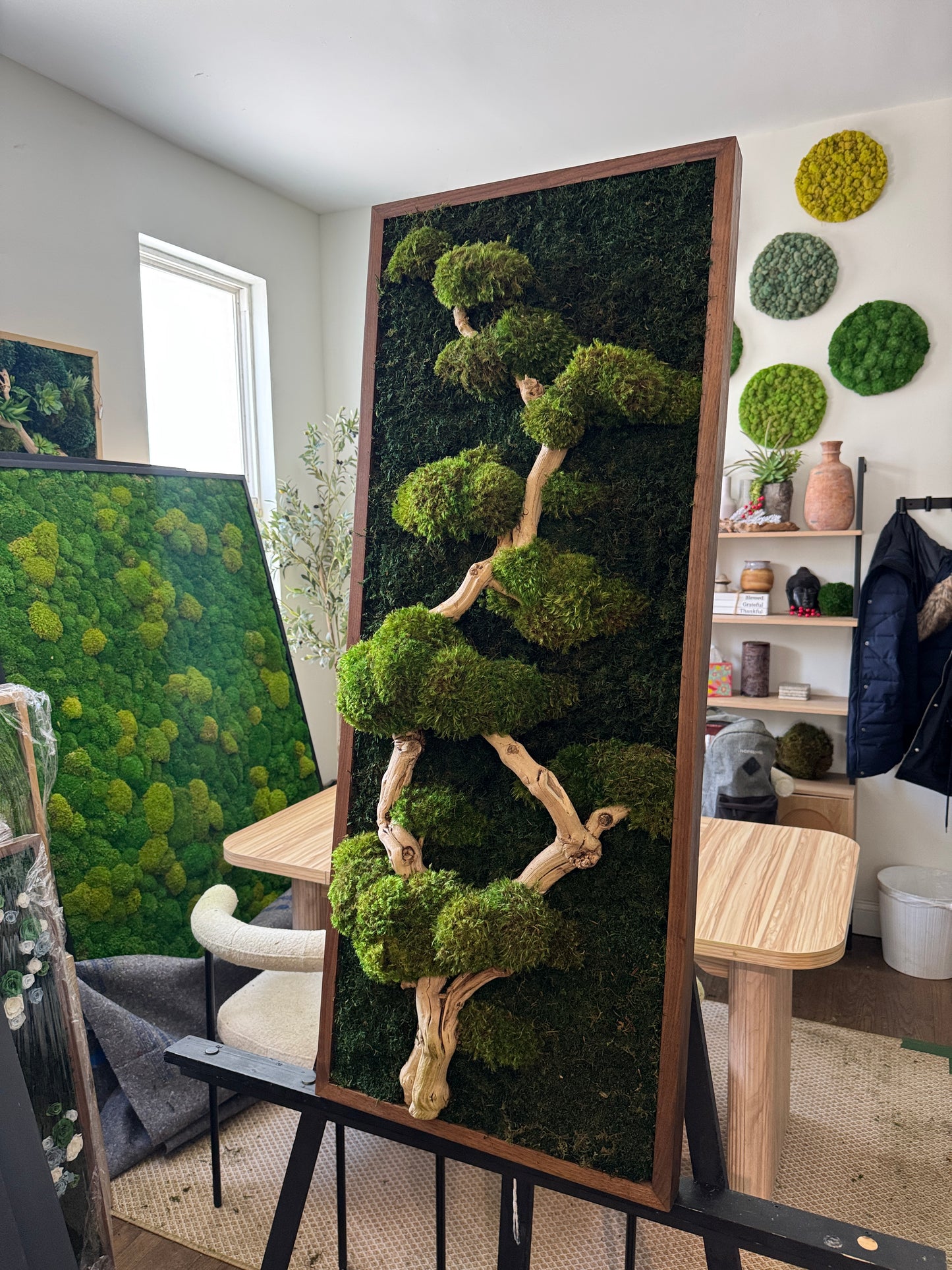 Bonsai Tree Moss Art Frame 1