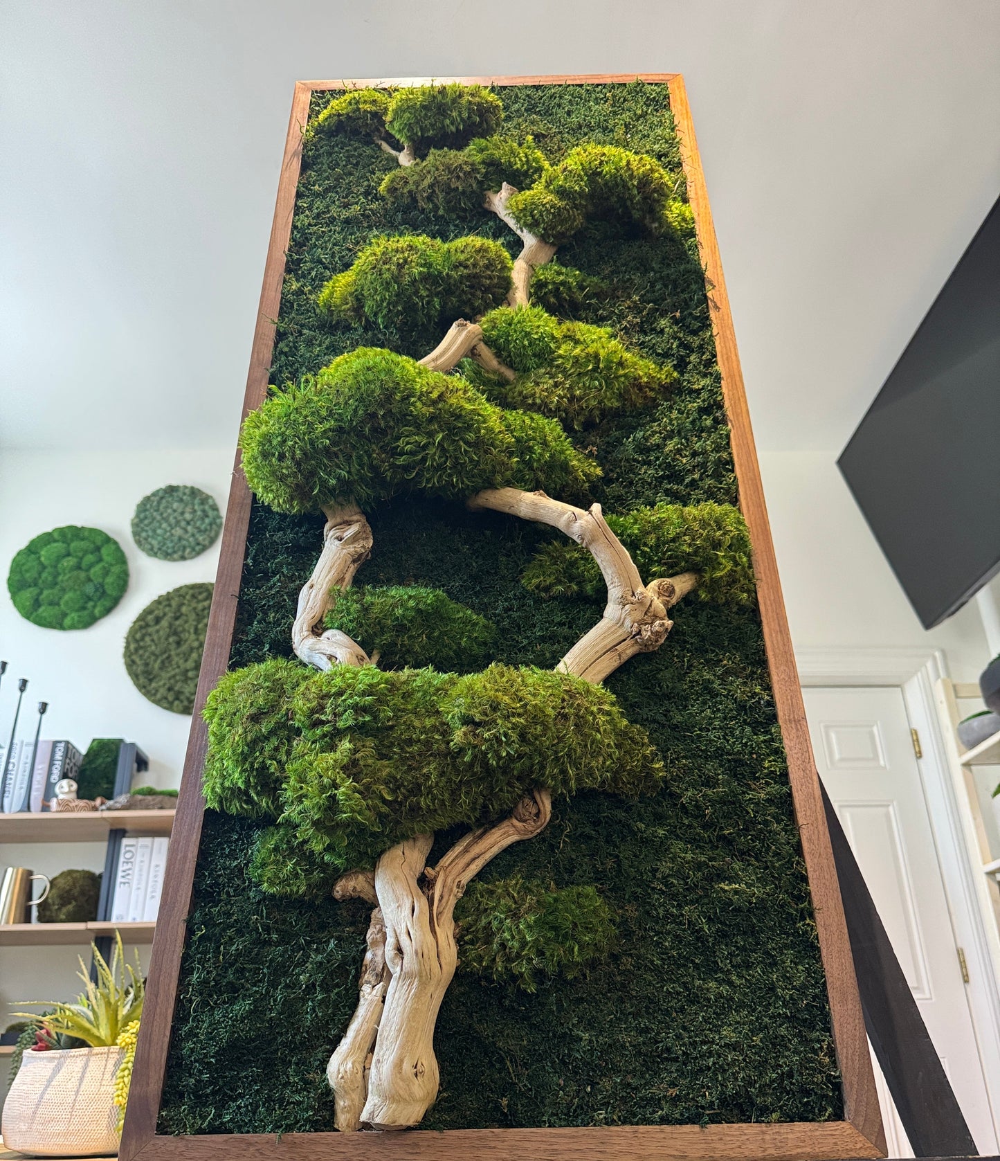 bonsai moss tree Bonsai Tree Moss Art Frame – The Moss Shop